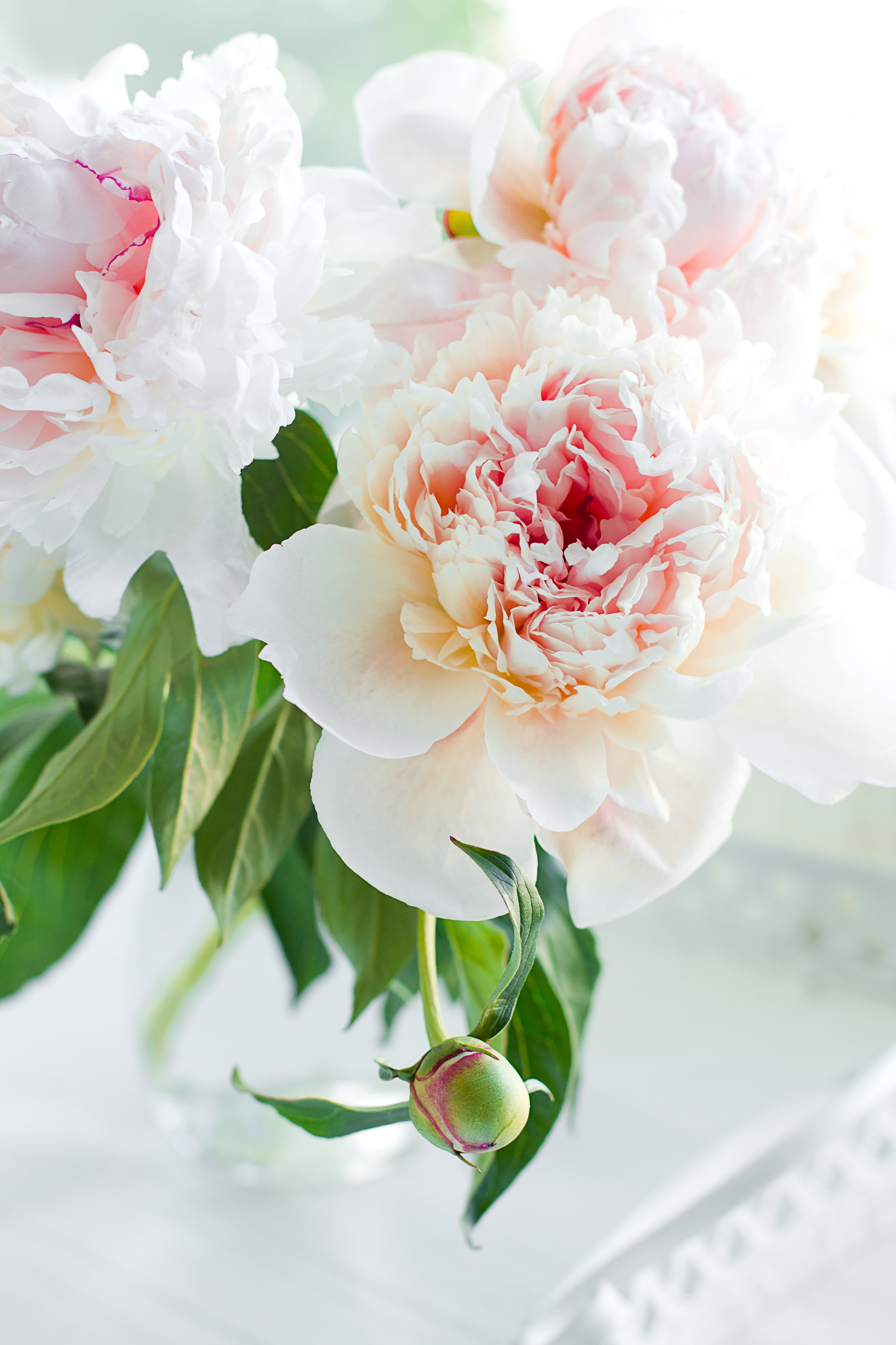 shutterstock_79703350.jpg