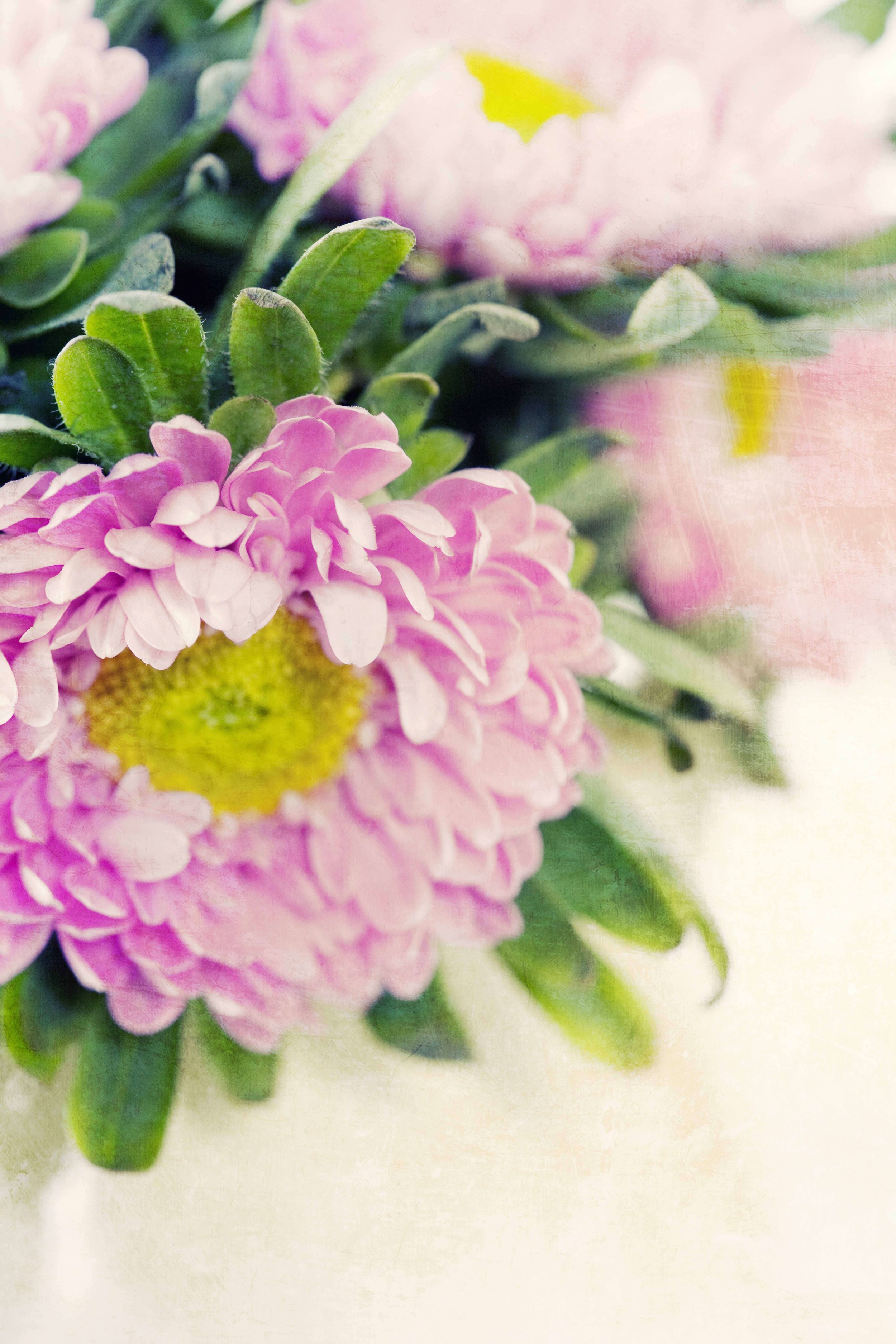 shutterstock_60808585-edit.jpg