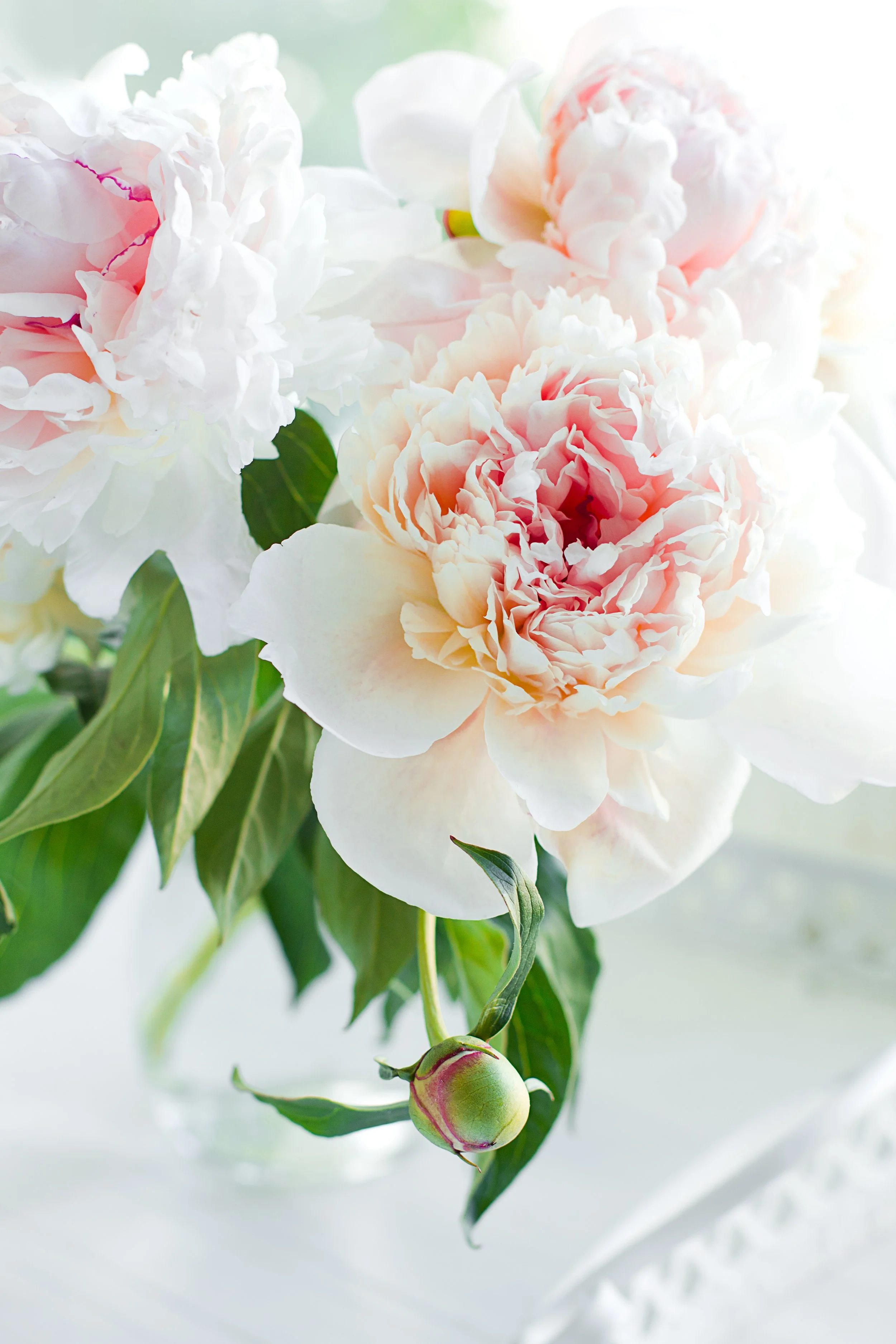 shutterstock_79703350.jpg