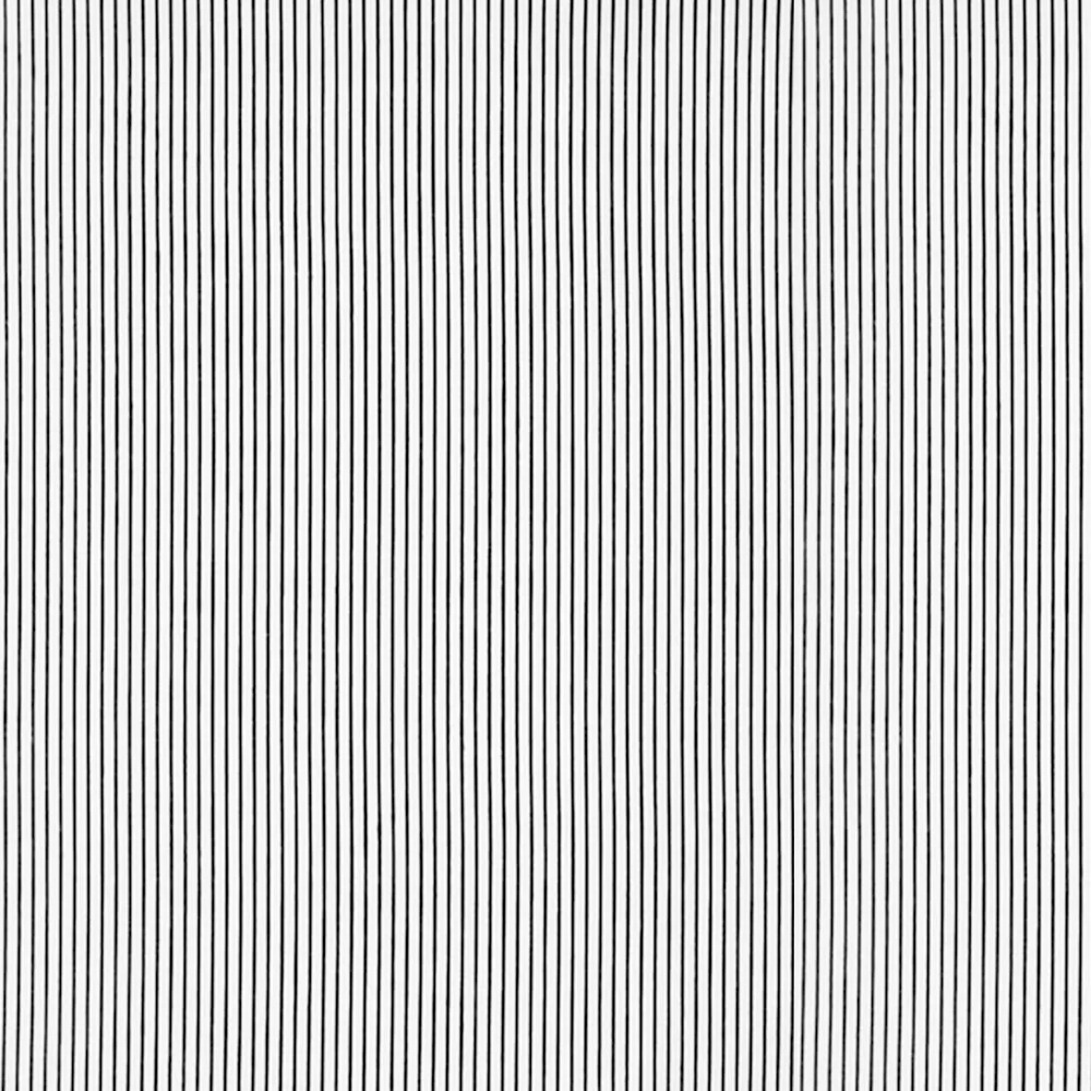 mono stripe.jpg
