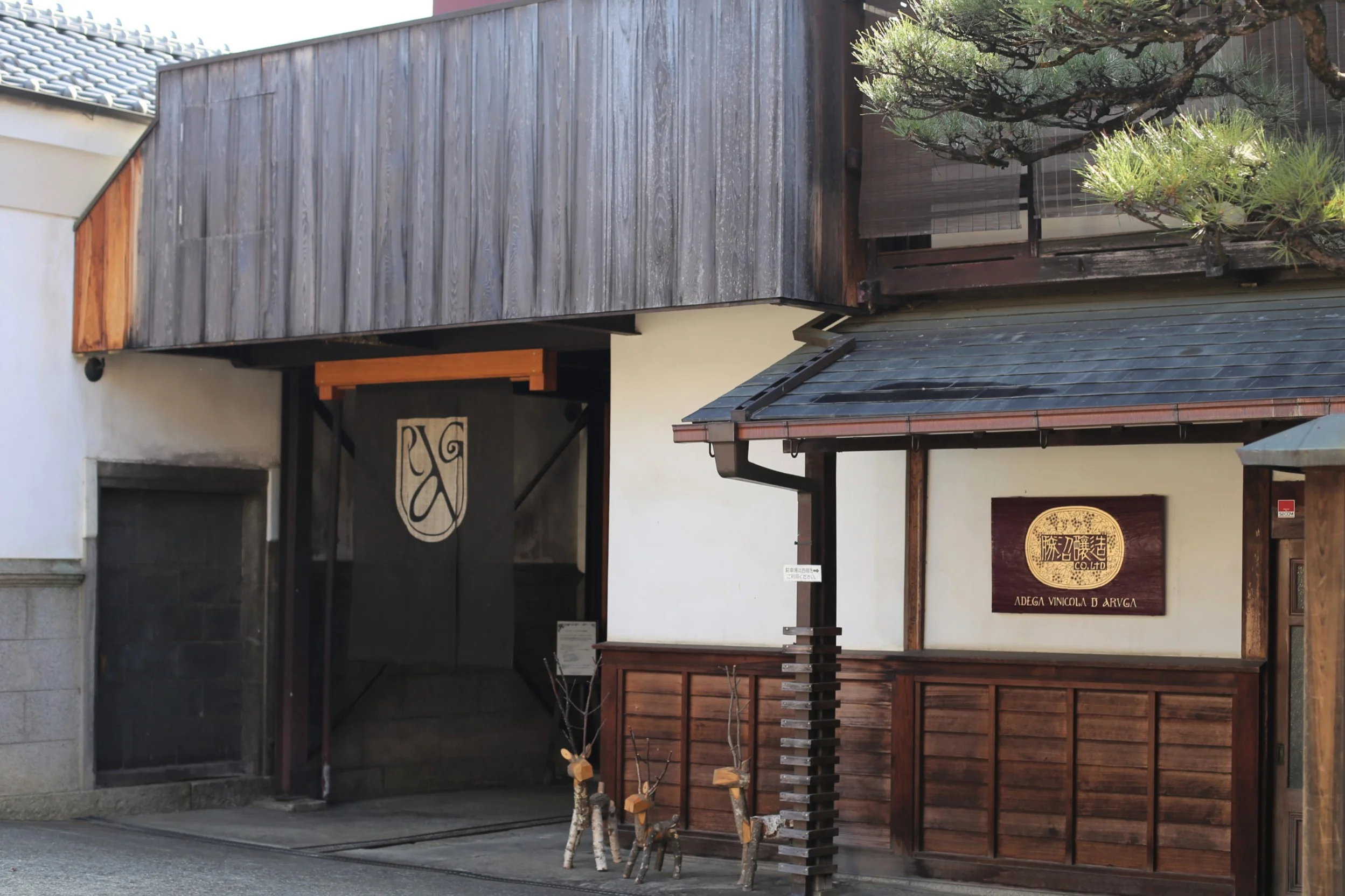 Katsunuma Jyozo_w2500px.jpg