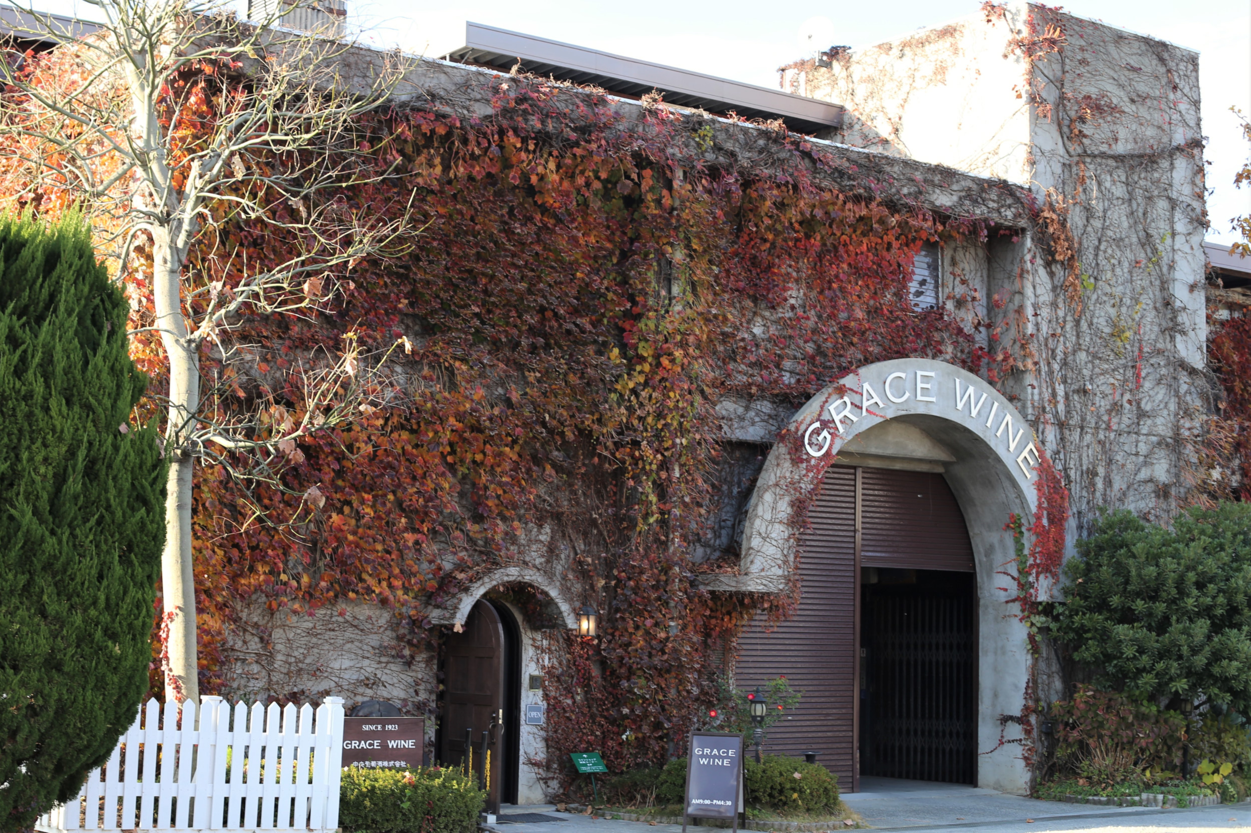 Grace Wine_w2500px.jpg