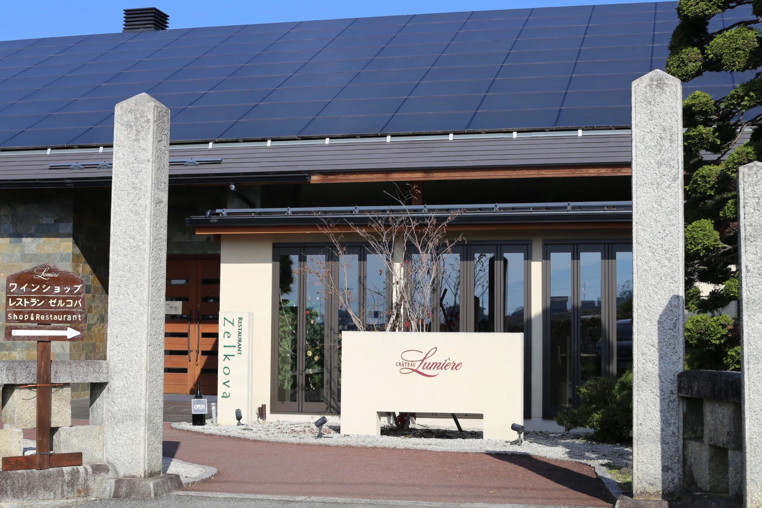 Zelkova (Lumiere winery)