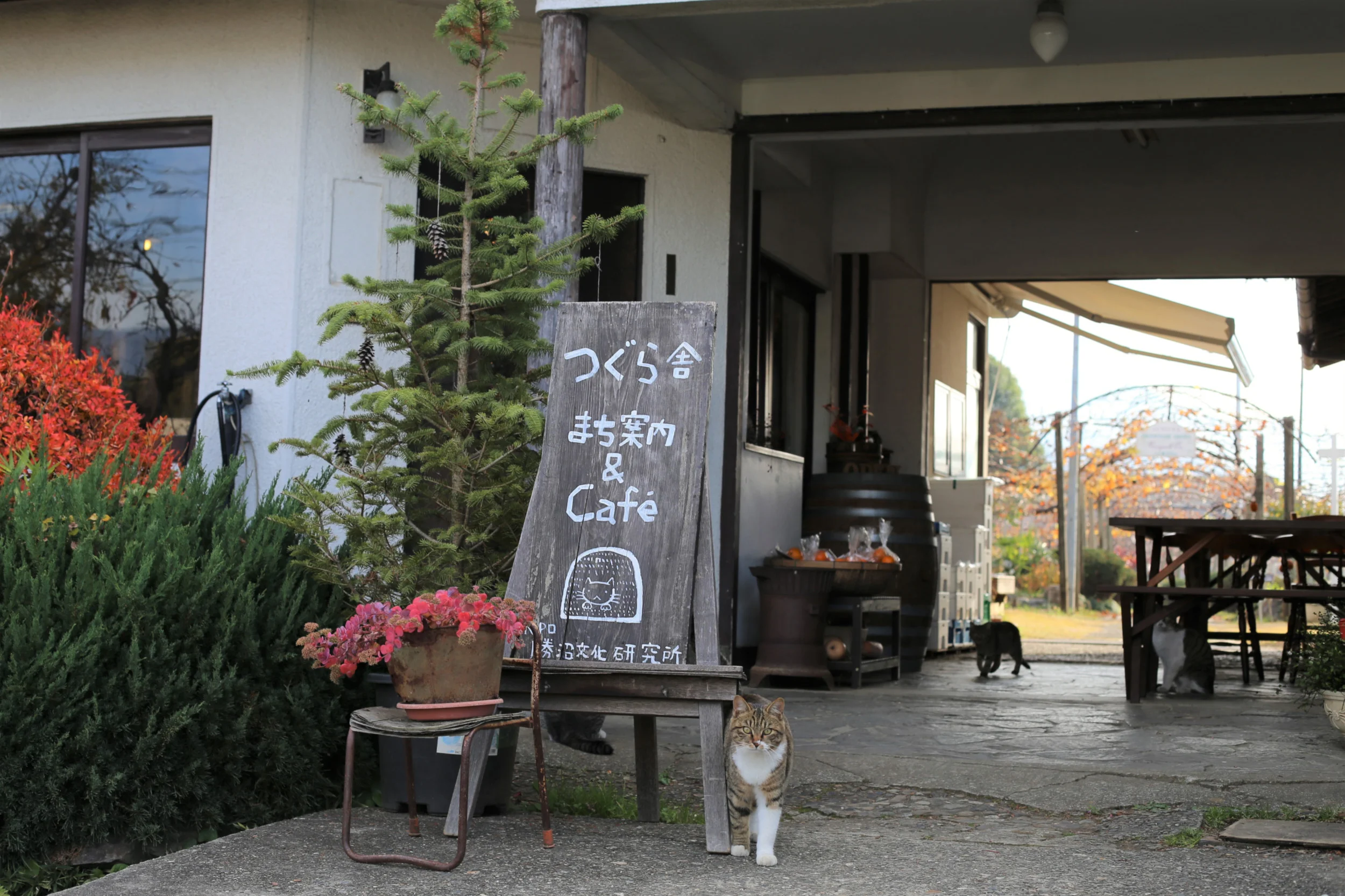 Tsugura-sha_w2500px.jpg
