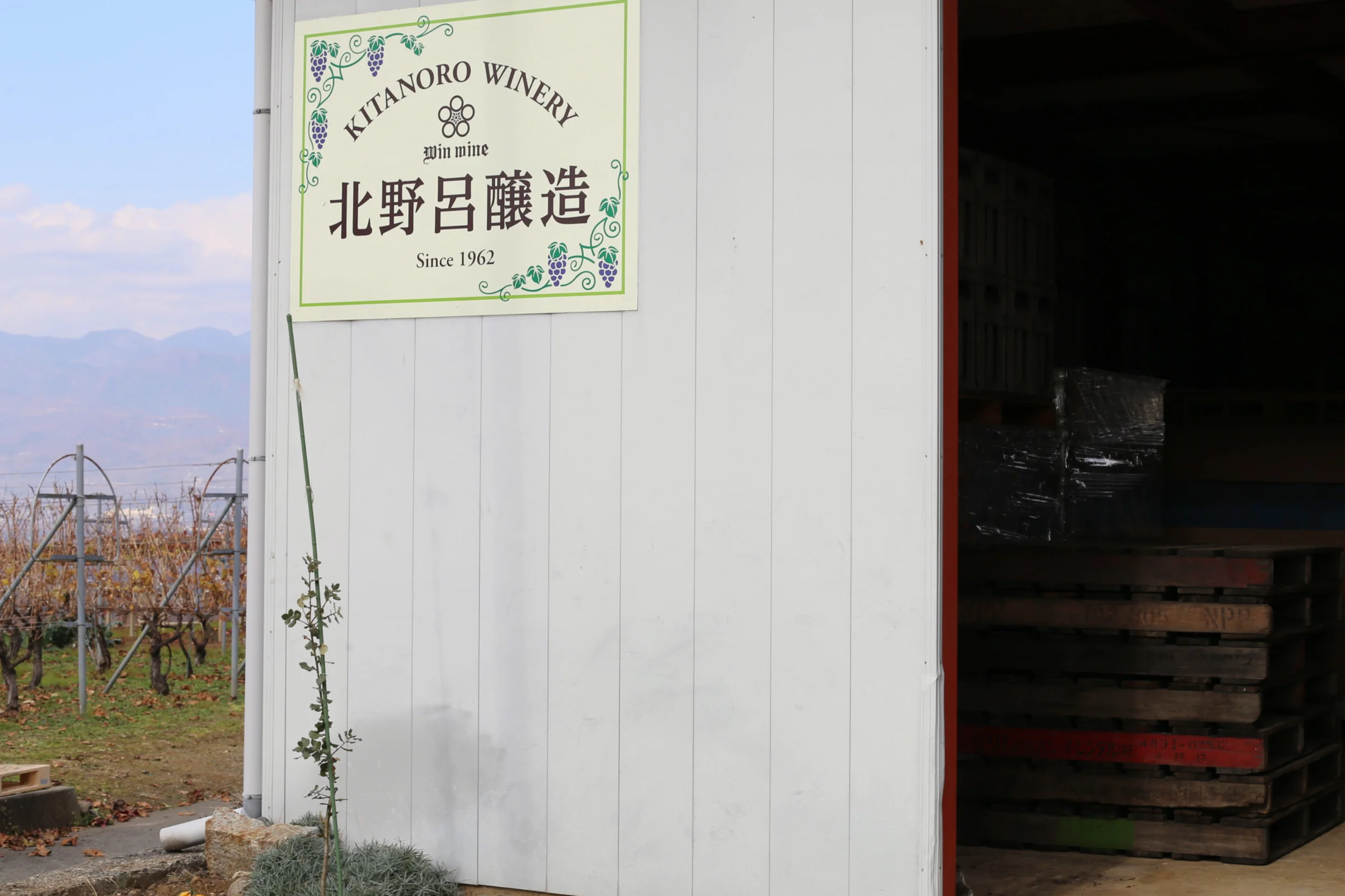 Win Wine (Kitanoro Winery)