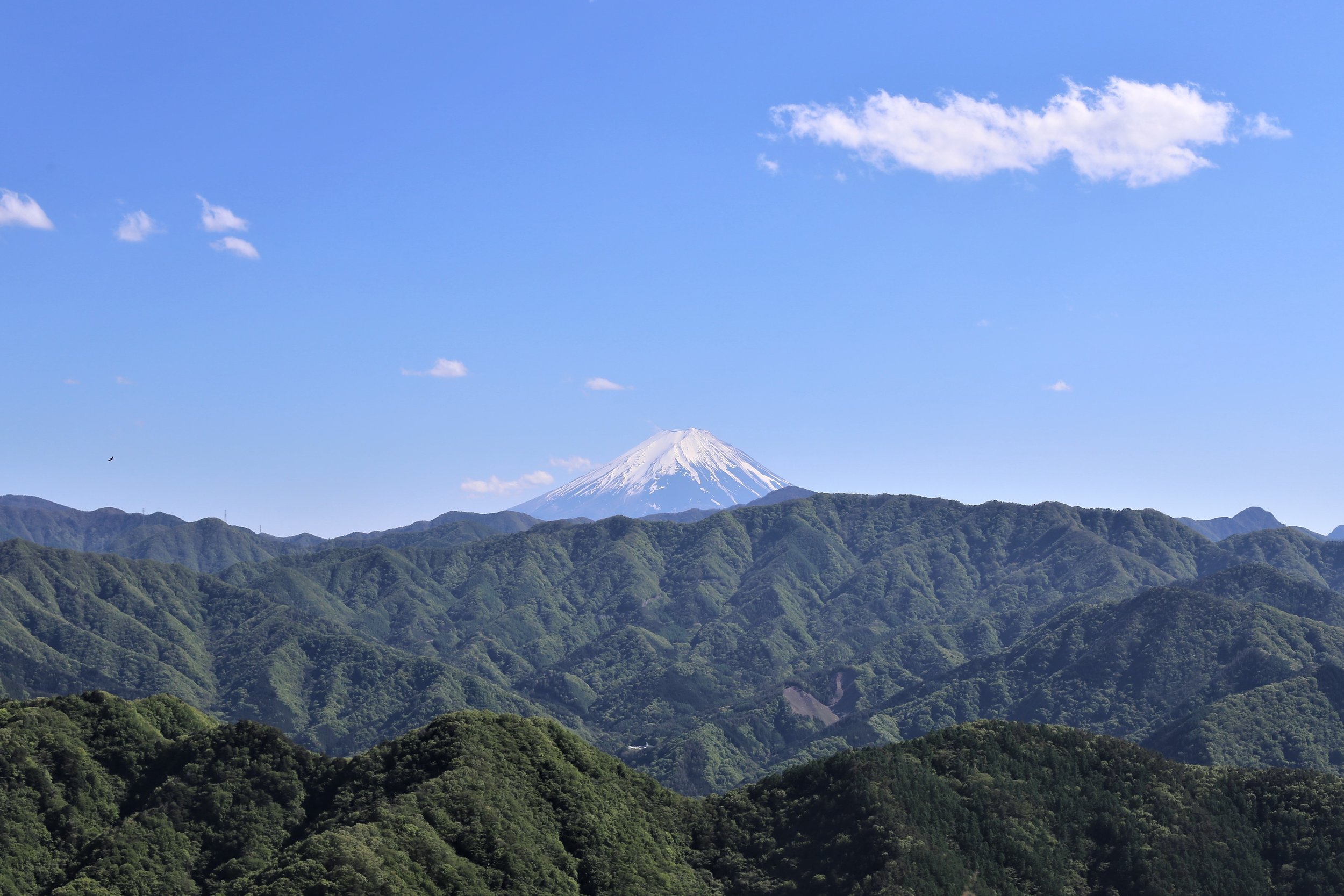Koshu Valley_Japanese Wine Region_Mt Fuji.JPG
