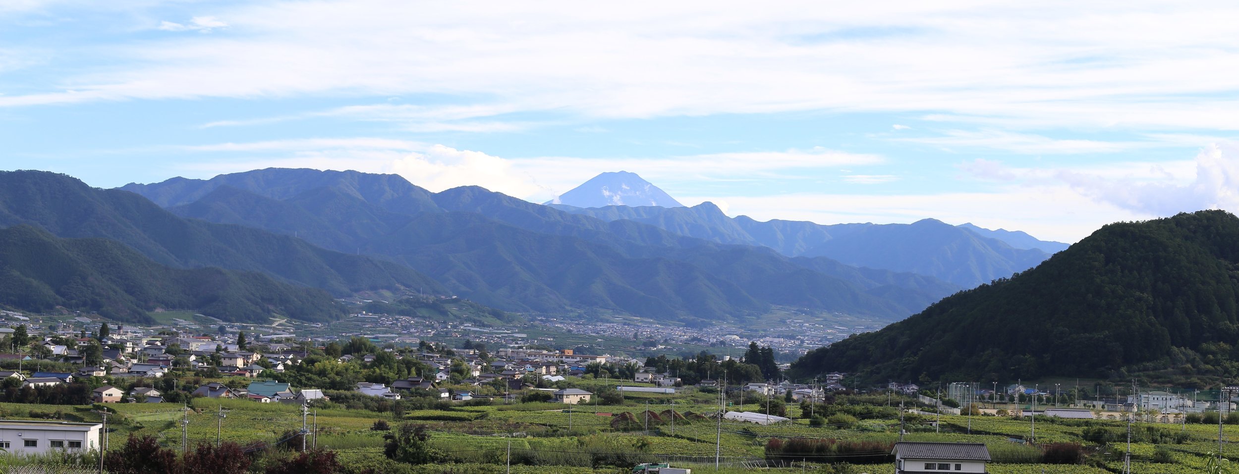 Koshu Valley_Japanese Wine Region_Valley View_Looking South to Mt Fuji.JPG