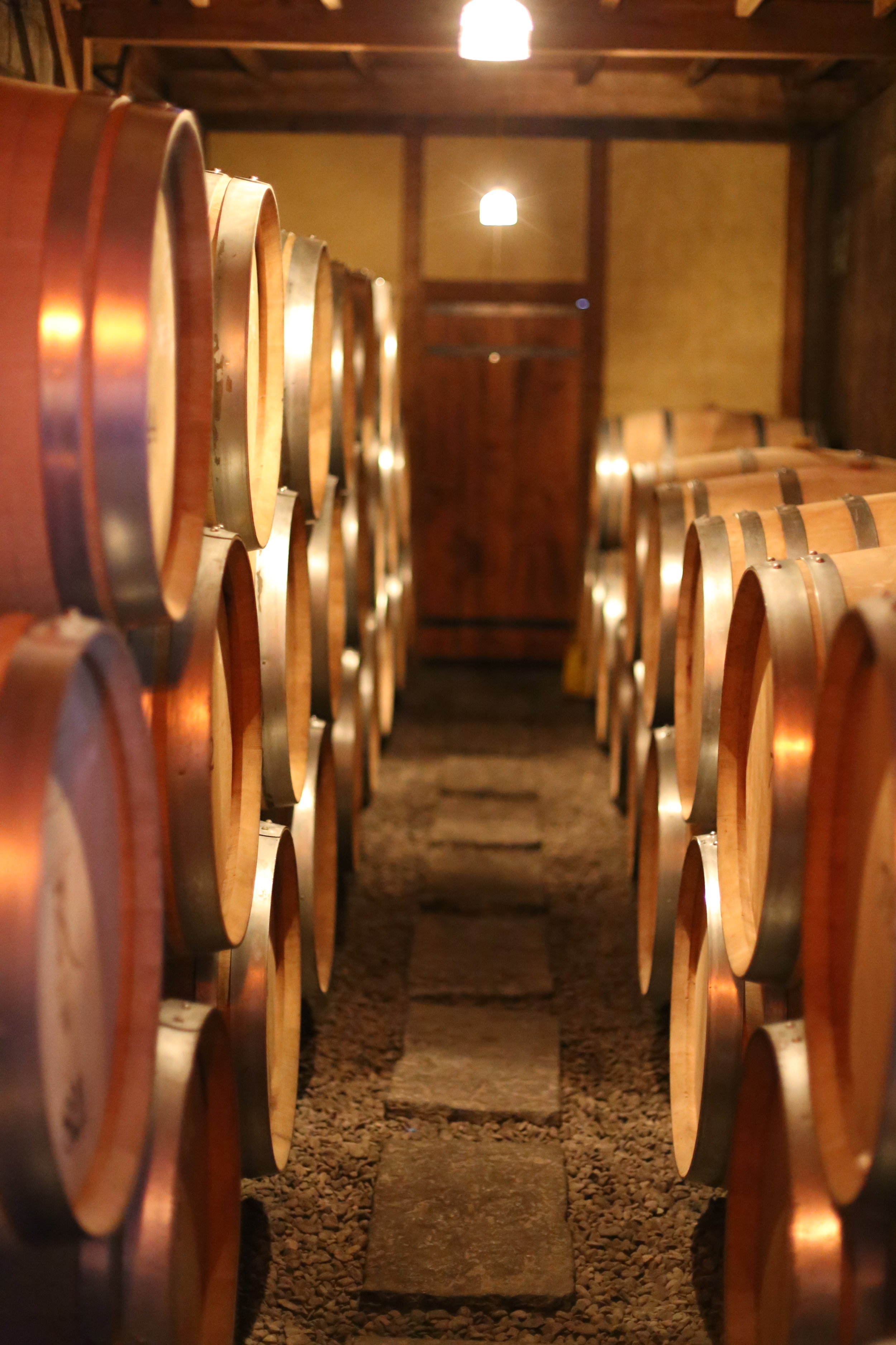 Koshu Valley_Japanese Wine Region_Oak wine barrels.JPG