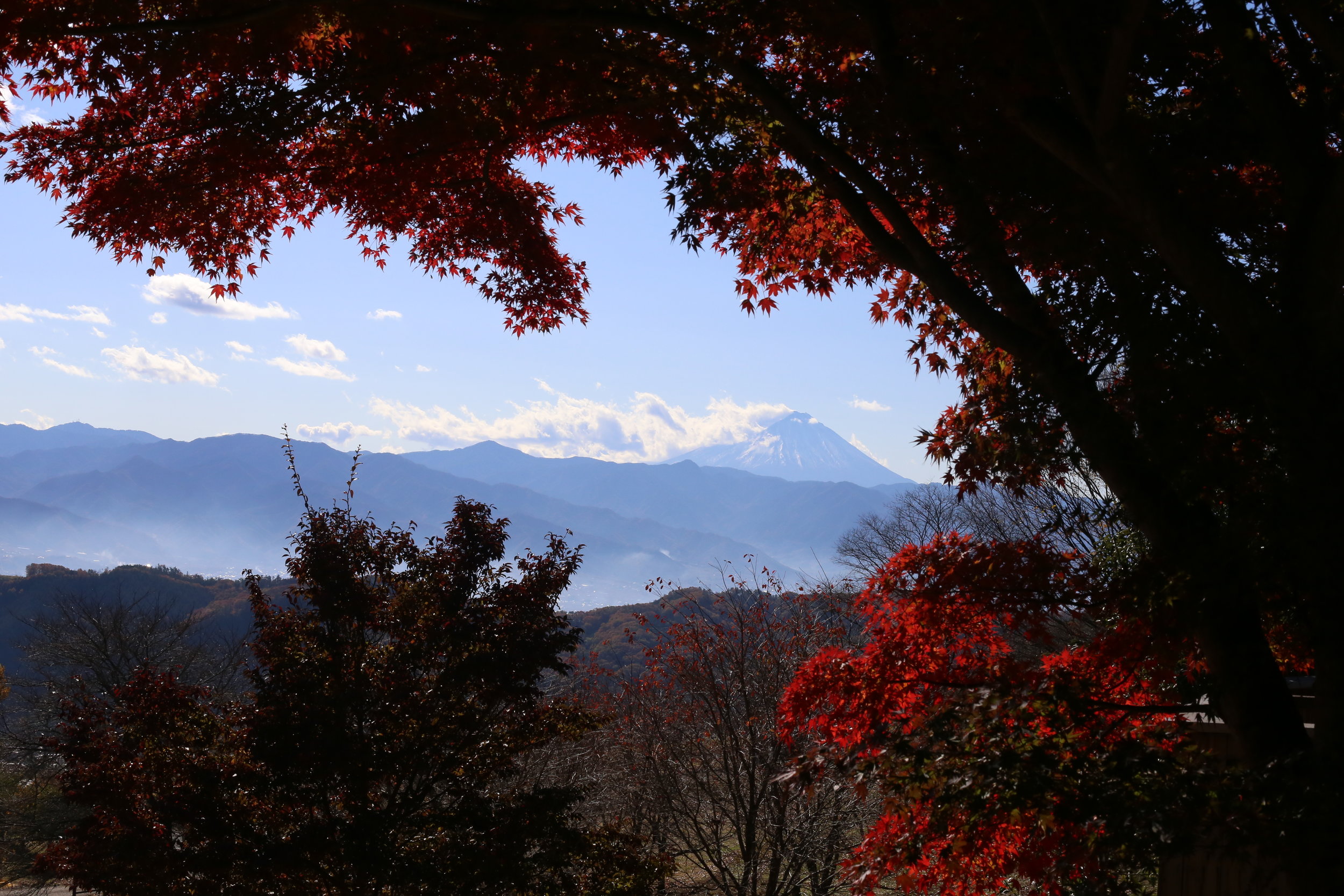 Koshu Valley_Japanese Wine Region_Valley view from north_Autumn.JPG