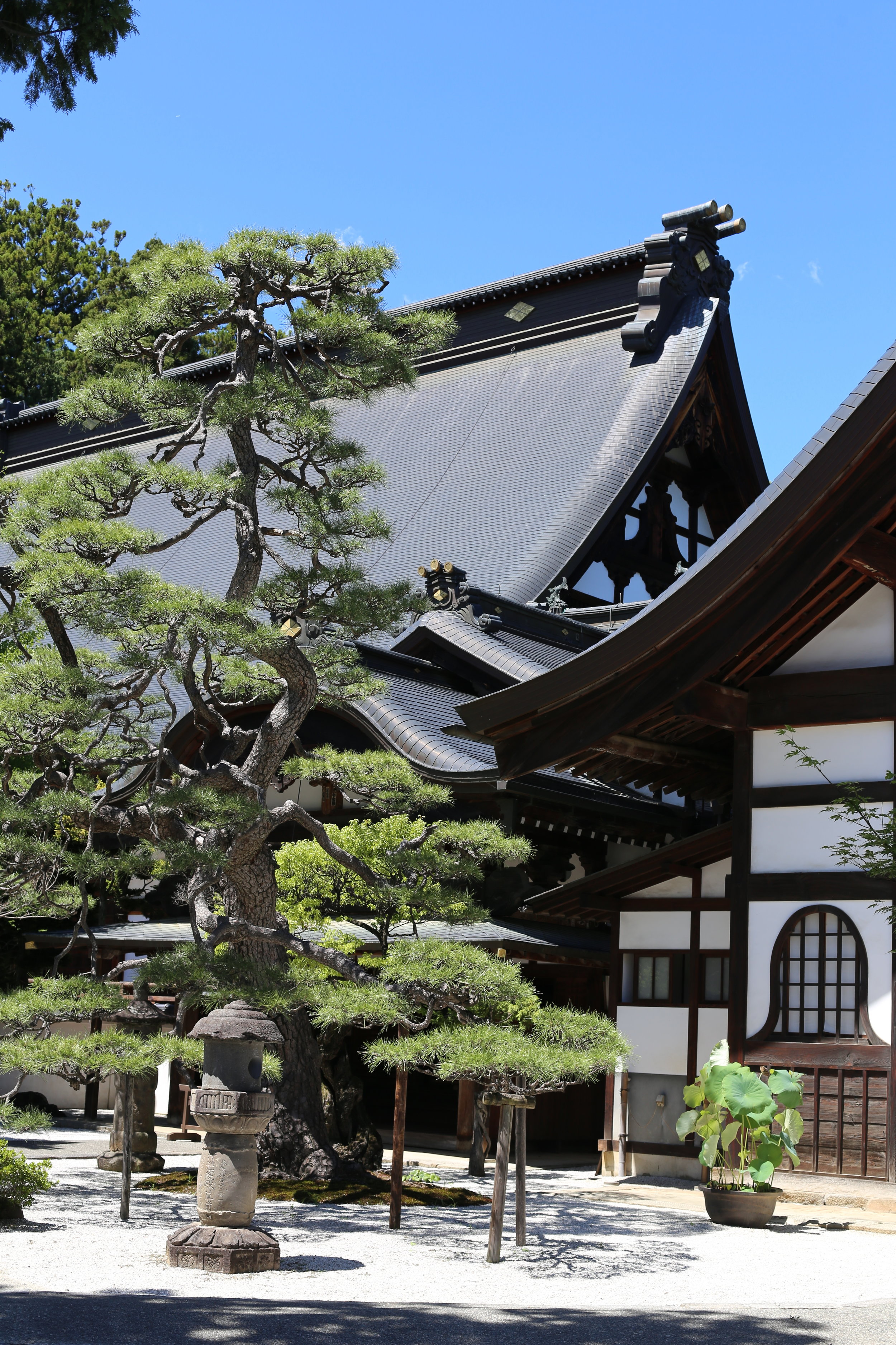 Koshu Valley_Japanese Wine Region_Erinji Temple.JPG