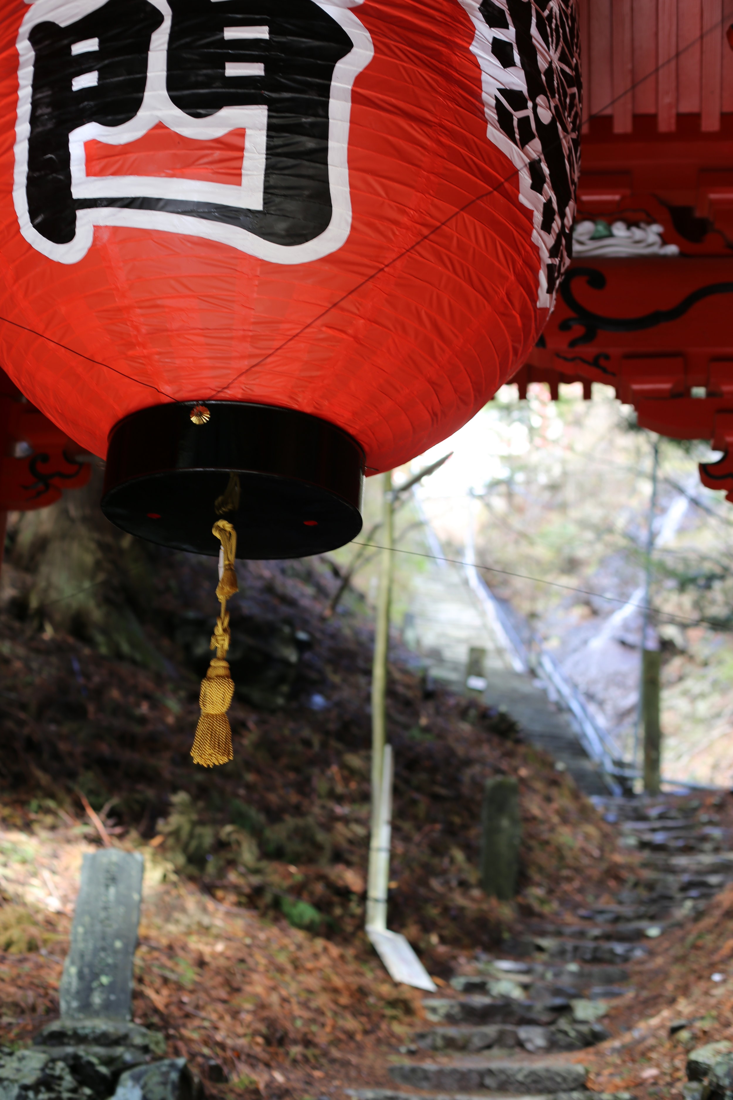 Koshu Valley_Japanese Wine Region_Otakiyama Fudoson Temple_Gate.JPG