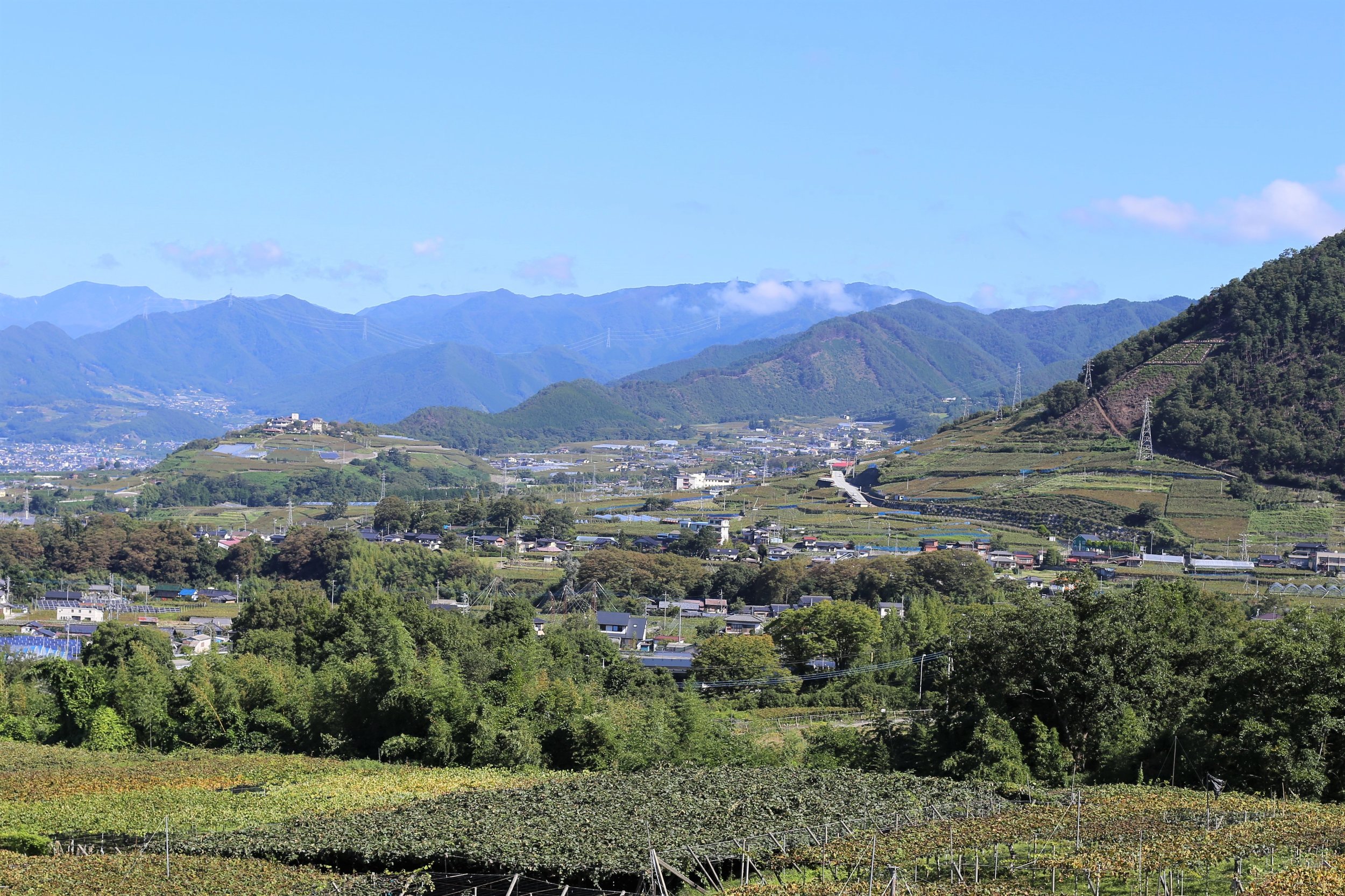 Koshu Valley_Japanese Wine Region_Valley view_Looking North.JPG