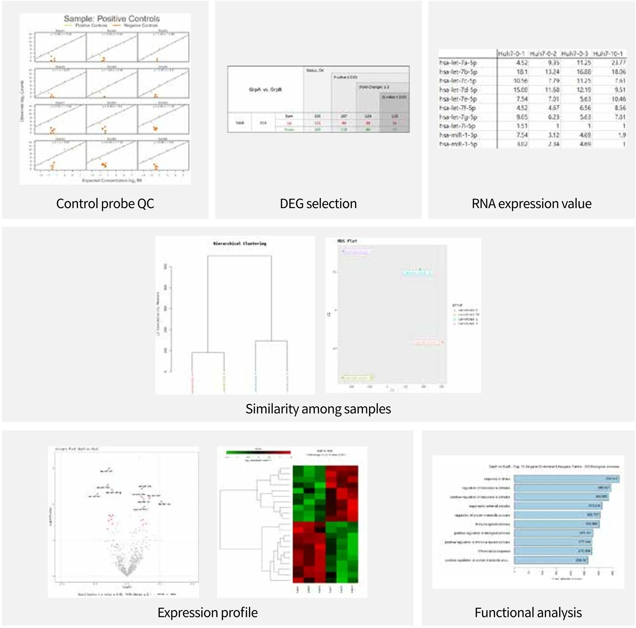 Digital Counting — LAS