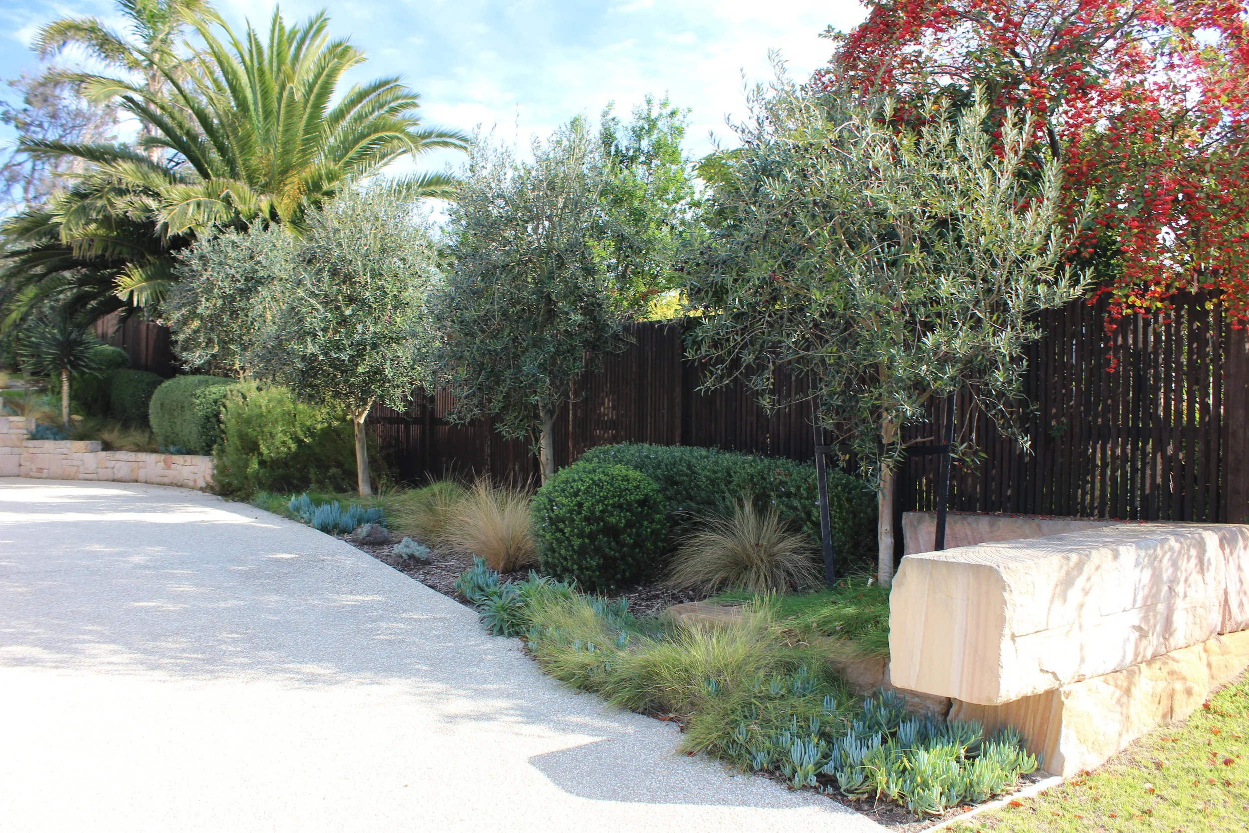  Mix of local and exotic species suited to climate and soil. No environmental weeds species used. 