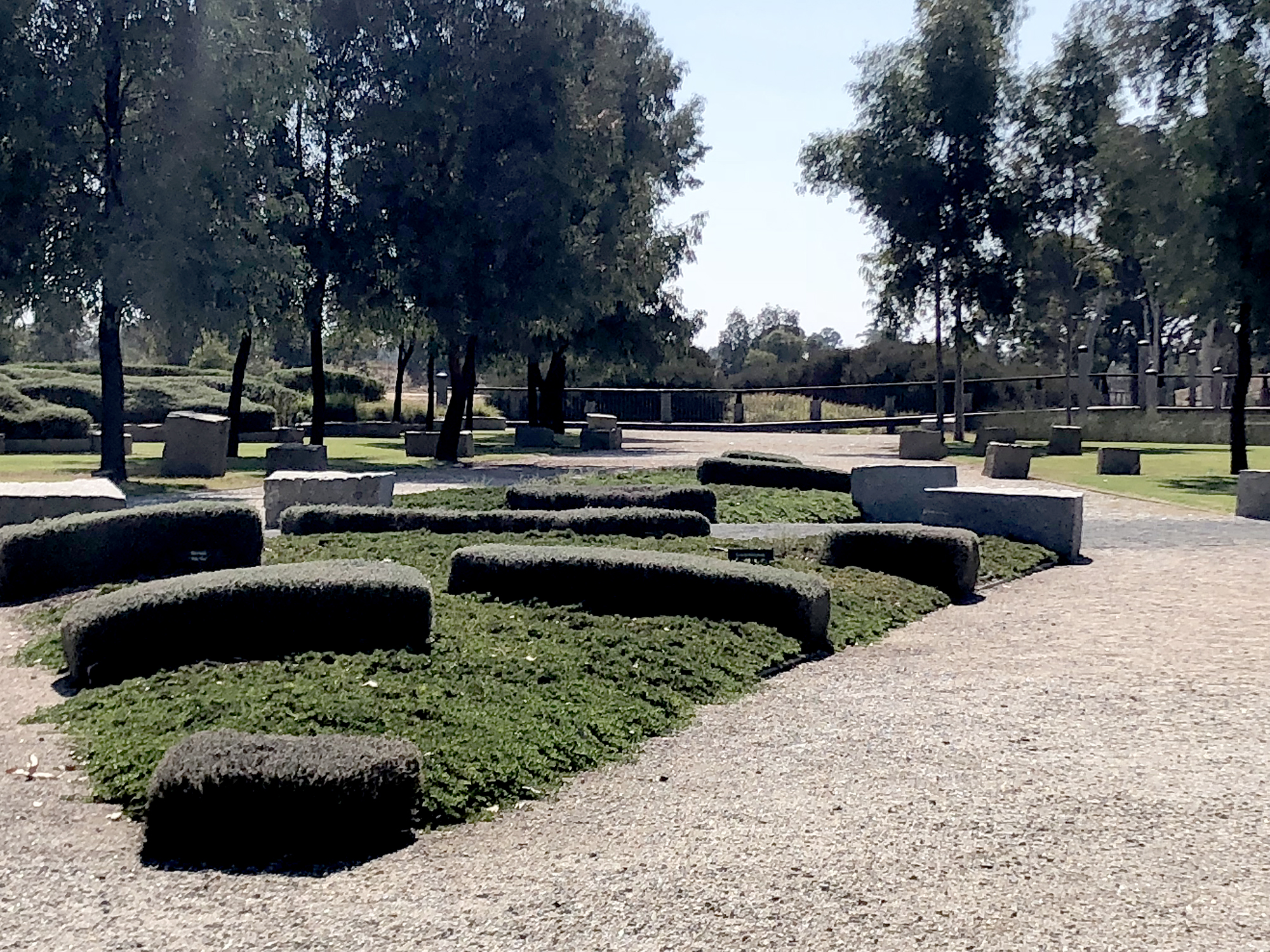 Moama Echuca Botanic Gardens In Conjunction With Chris Dance Landdance Memla