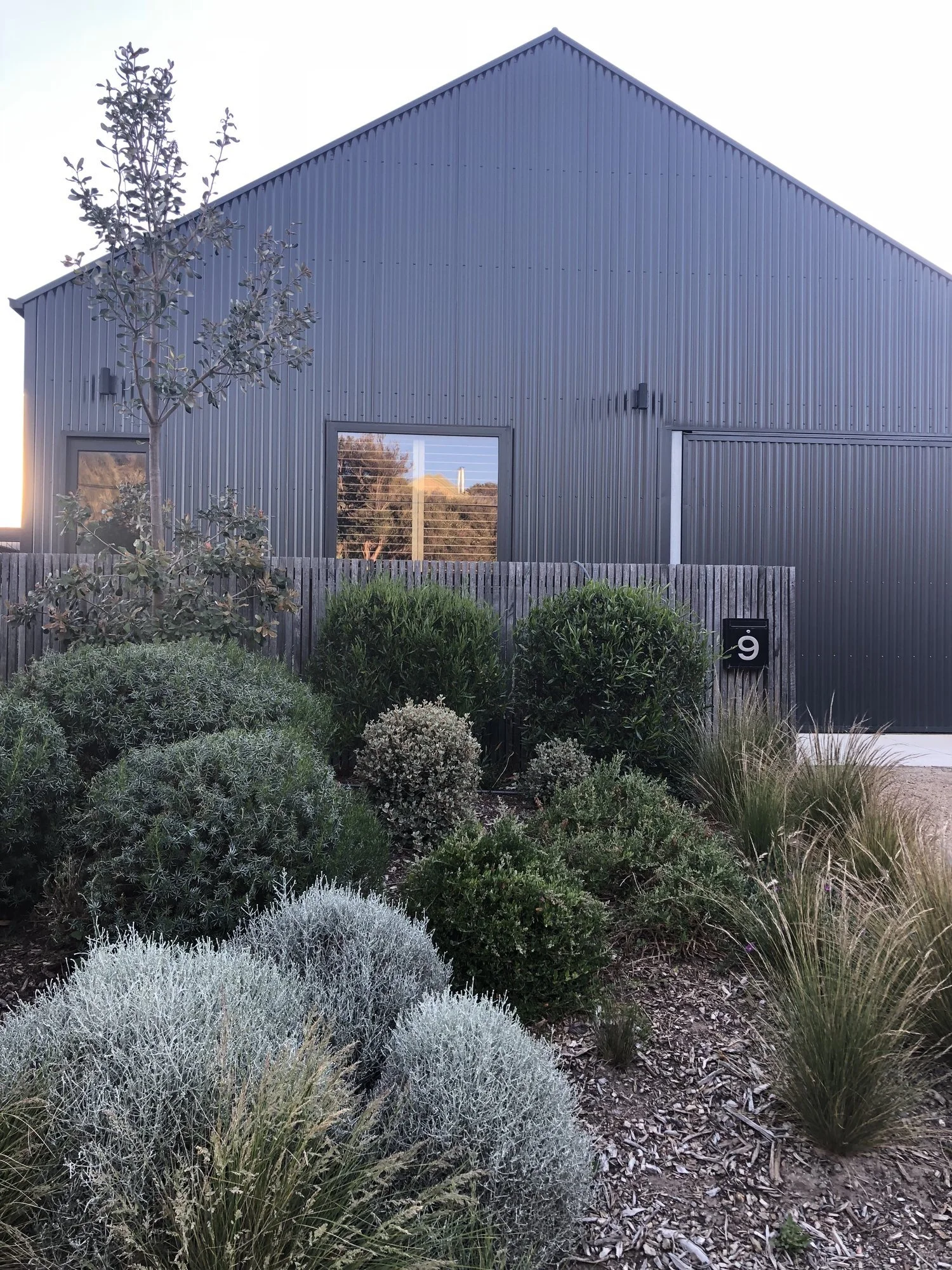 Coastal residential landscape design in Blairgowrie featuring indigenous planting and outdoor garden spaces