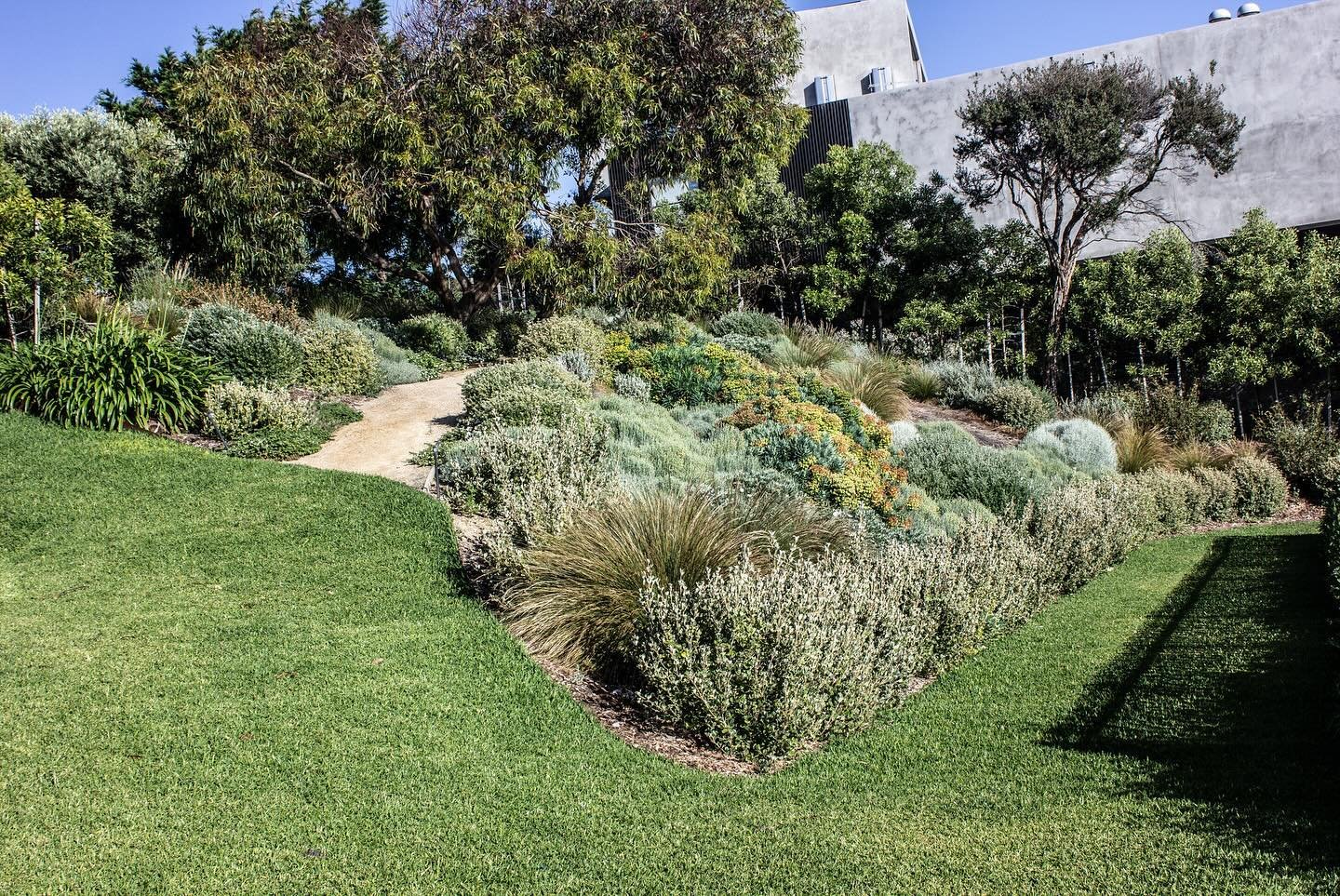 A site visit to Coastal/Mediterranean inspired garden and tennis court completed back in 2022. Extremely steep site which required significant retaining which was offset visually by planting.

#landscapearchitecture #landscapedesign #coastalgarden #m