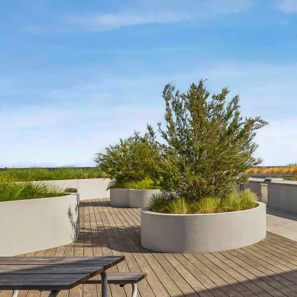 A mix of coastal and drought tolerant plant species right at home on a communal rooftop project (10th Floor)

#coastalplanting #rooftopgarden #windtolerantplants #landscapearchitecture #roofgarden