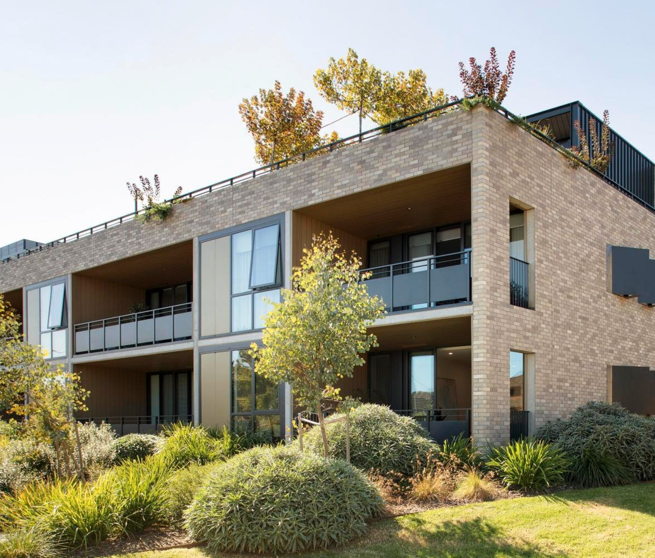 Screenshot 2026-02-04 at 11.11.00 am.png