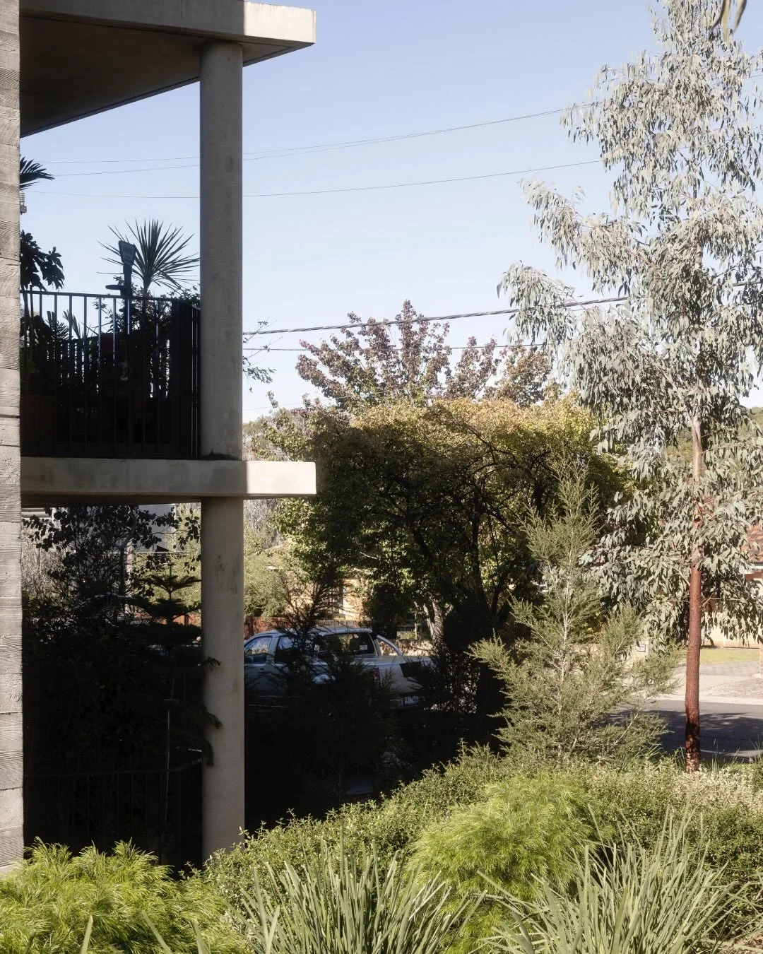 Balcony and Garden, Ivanhoe Development

Town Planning: @upco_planning 
Photography: @peternevett 

#landscapearchitecture #balconygardening #indigenousplants #ivanhoe #grassywoodlands