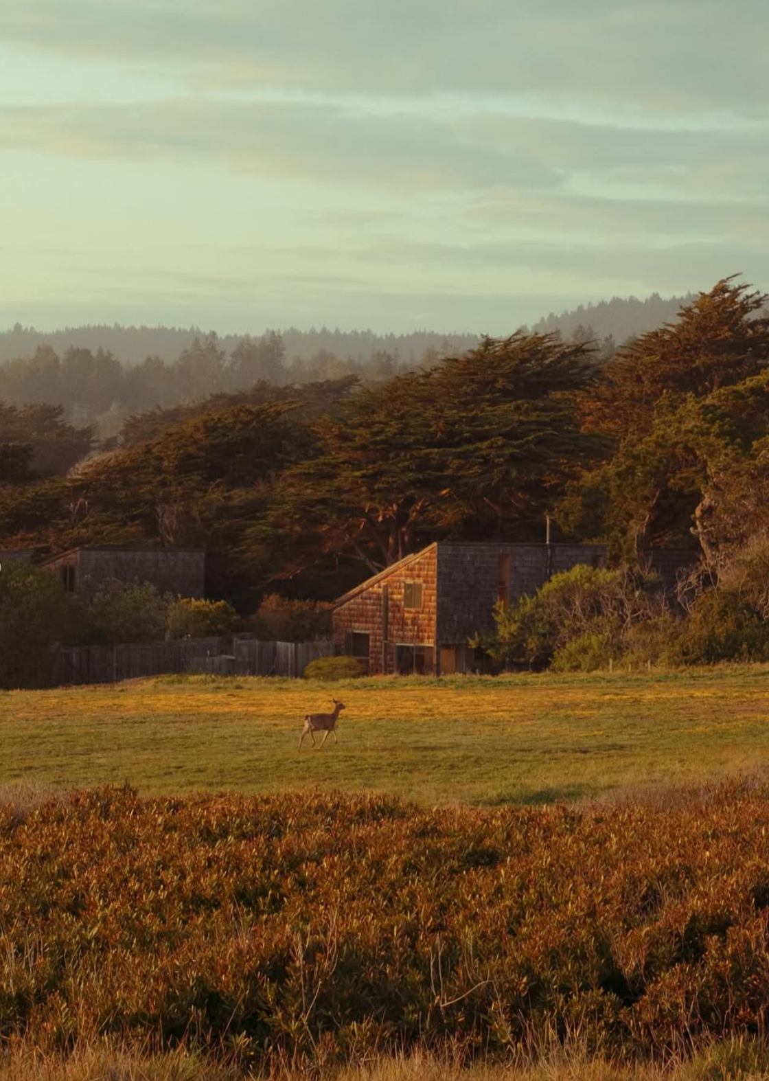 The Sea Ranch