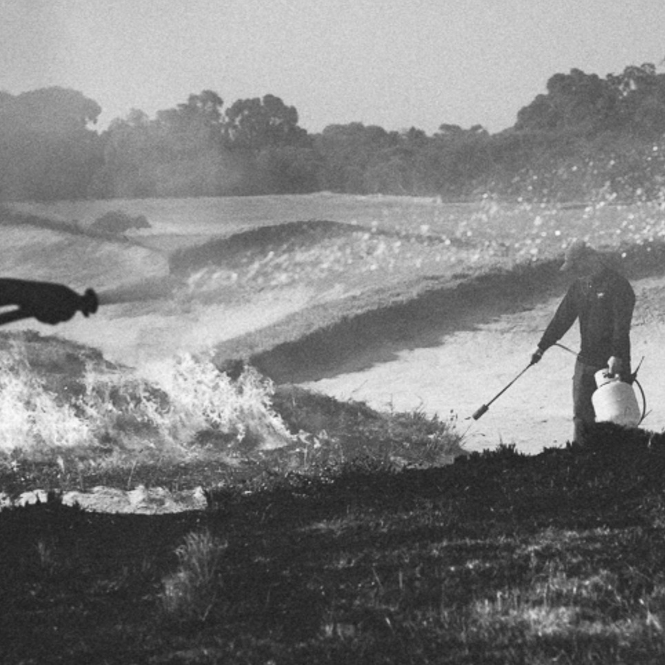 Photograph: William Watt