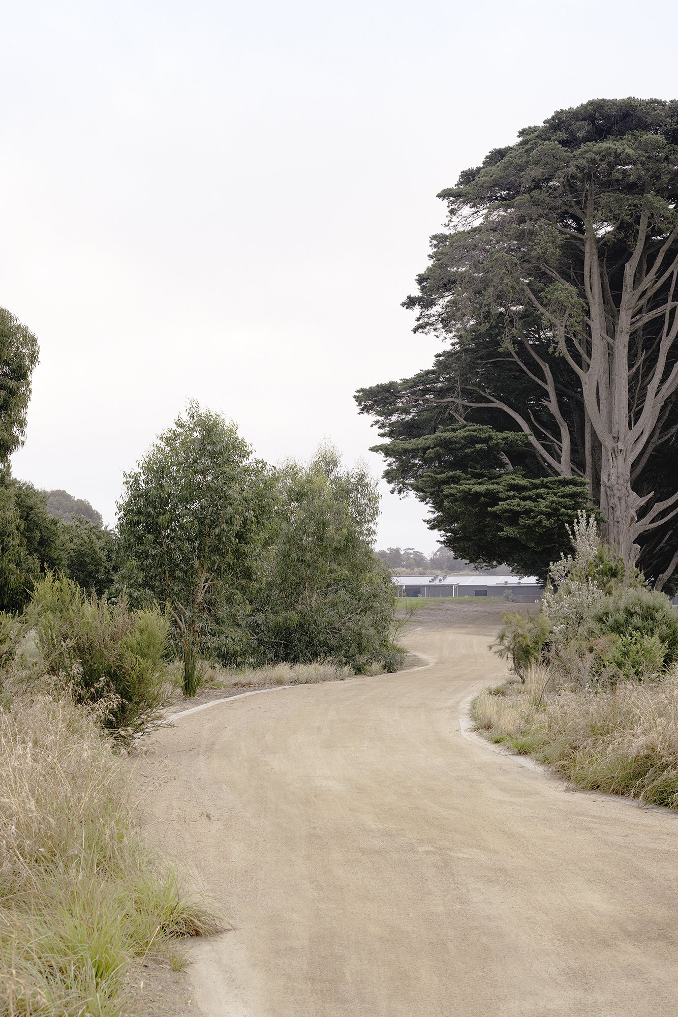 MEMLA_ROYAL_MELB_AUS_PGA_HQ-098.jpg