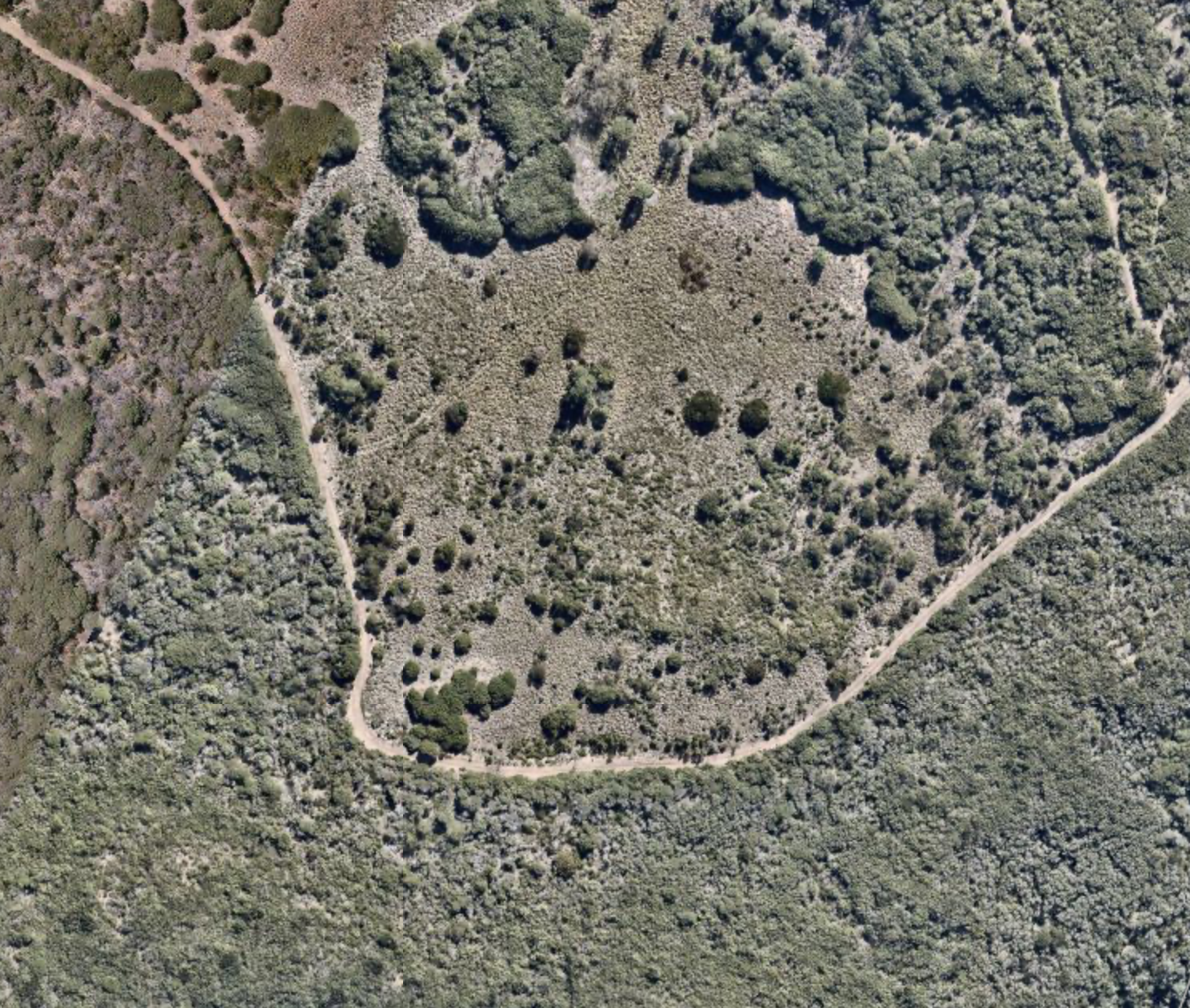 Grassed Sand Dune
