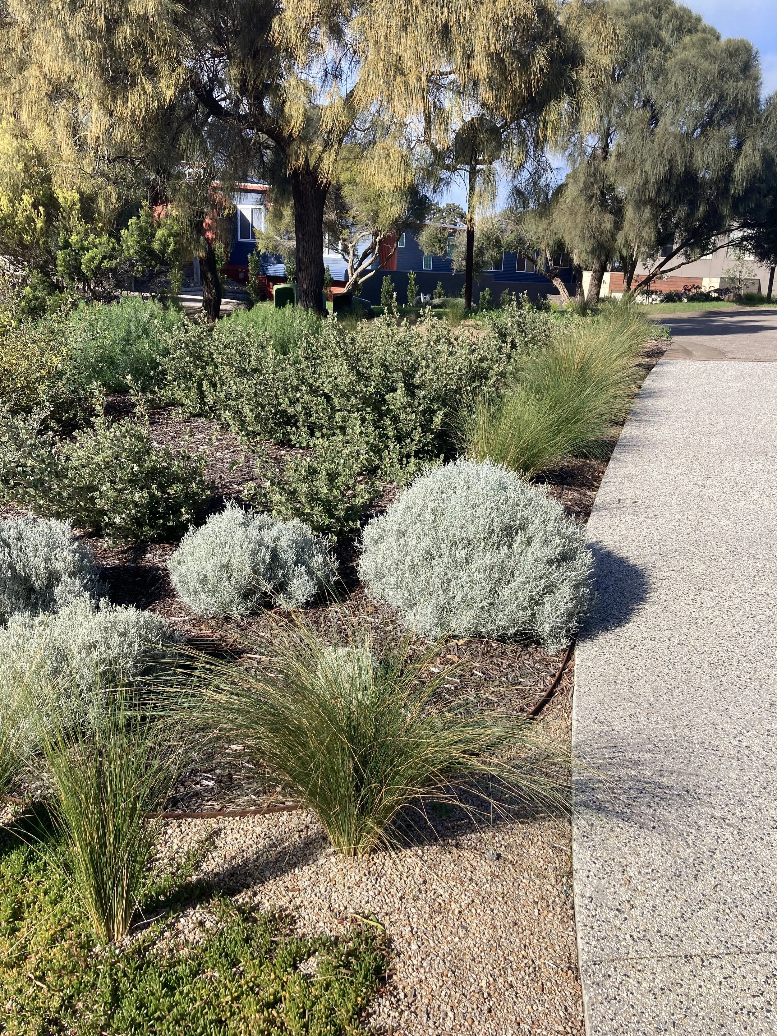 Imitation Tussock 4.jpeg