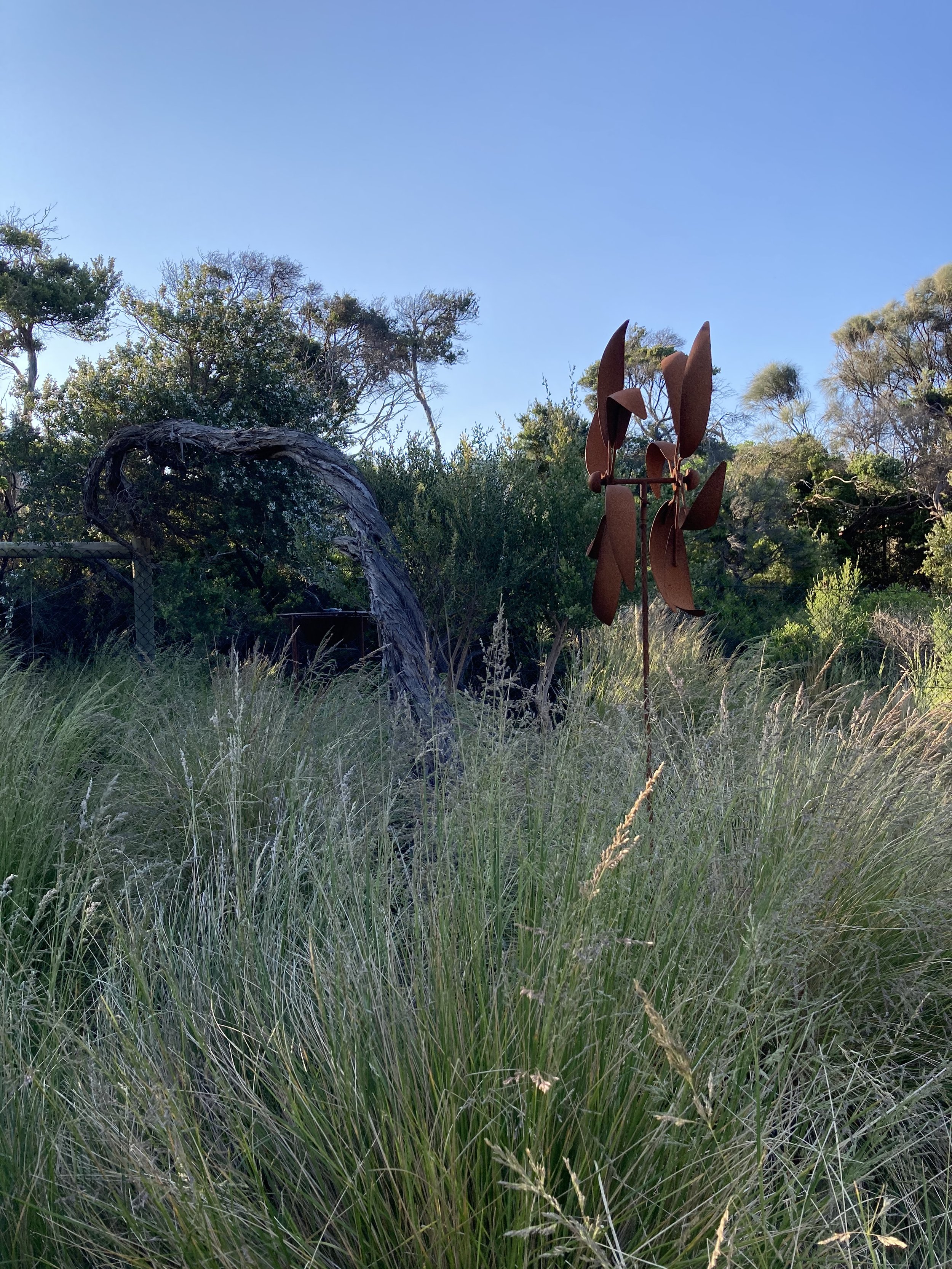 Imitation Grassland 1.jpeg