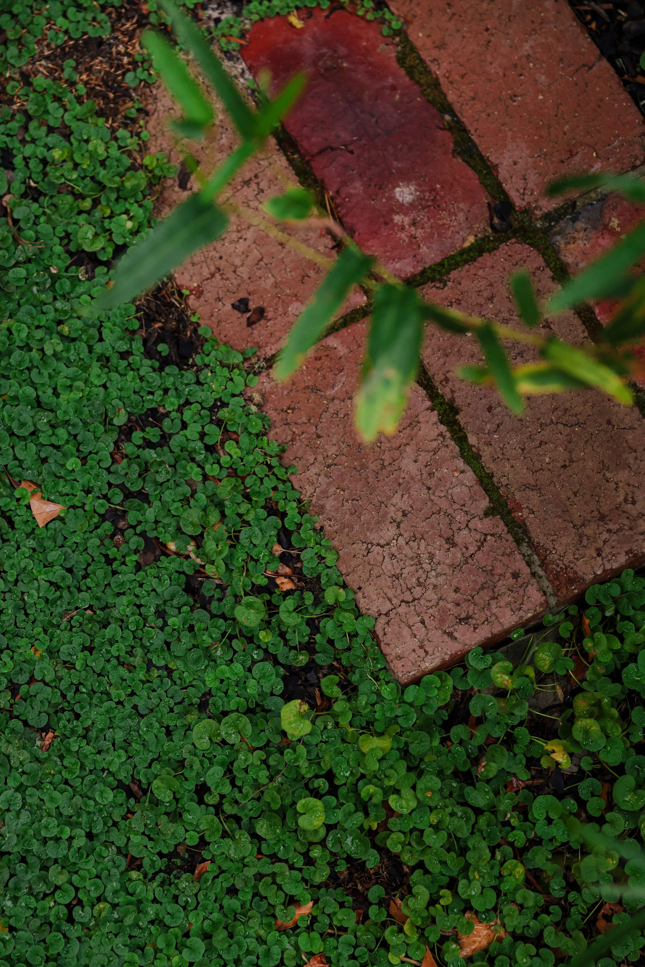 048A9801.jpg