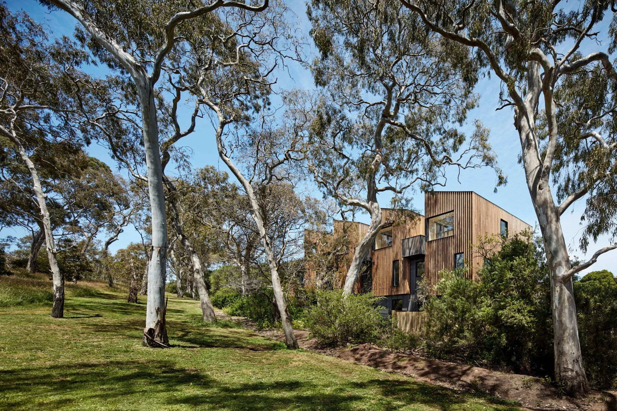 Gallery-of-11-St-Georges-Grove-by-Mancini-Made-Local-Australian-Architecture-Design-Construction-Parkville-VIC-Image-9.jpg