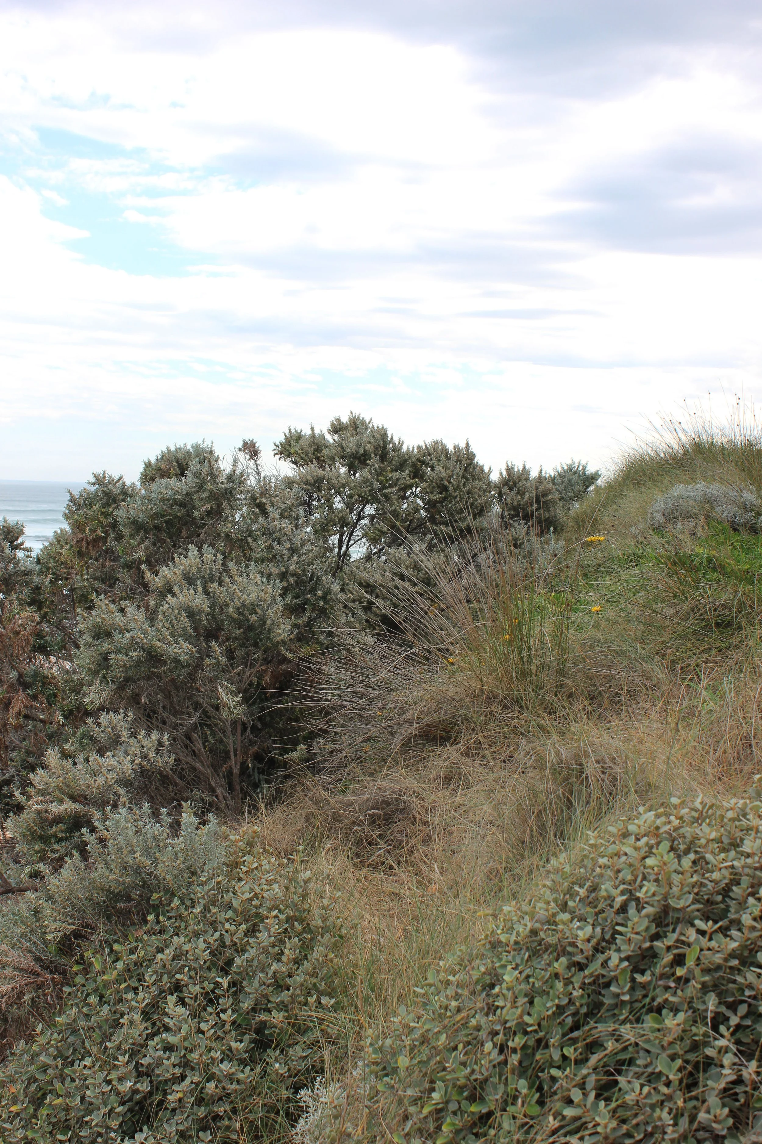 Portsea-IMG_0782.jpg