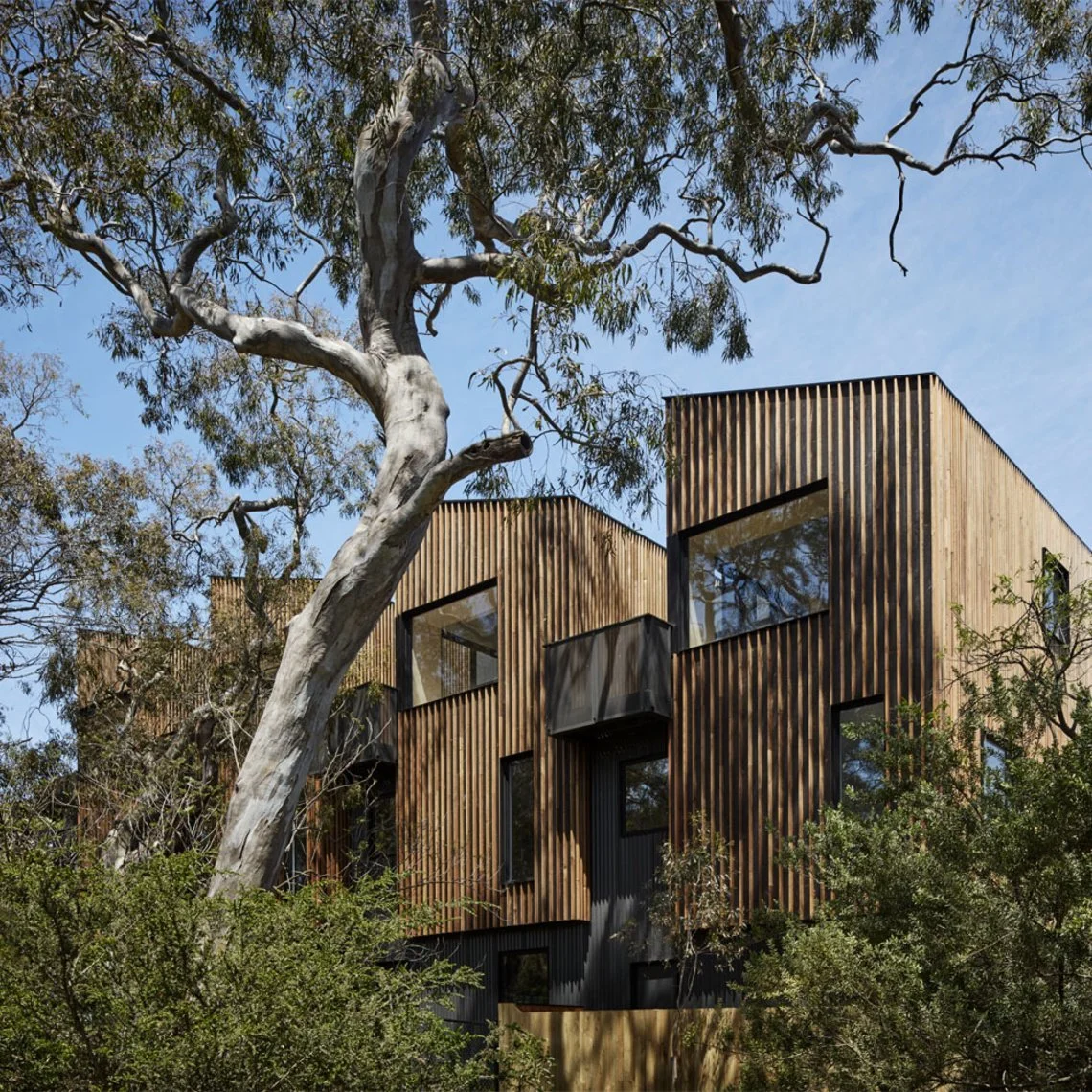 St Georges Grove Parkville 02.jpg