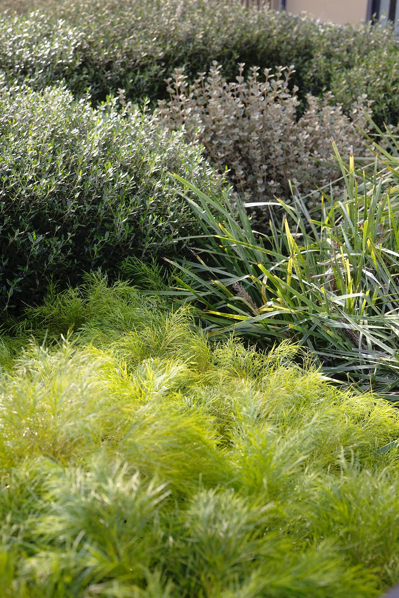 The_Grounds_Ivanhoe-075.jpg