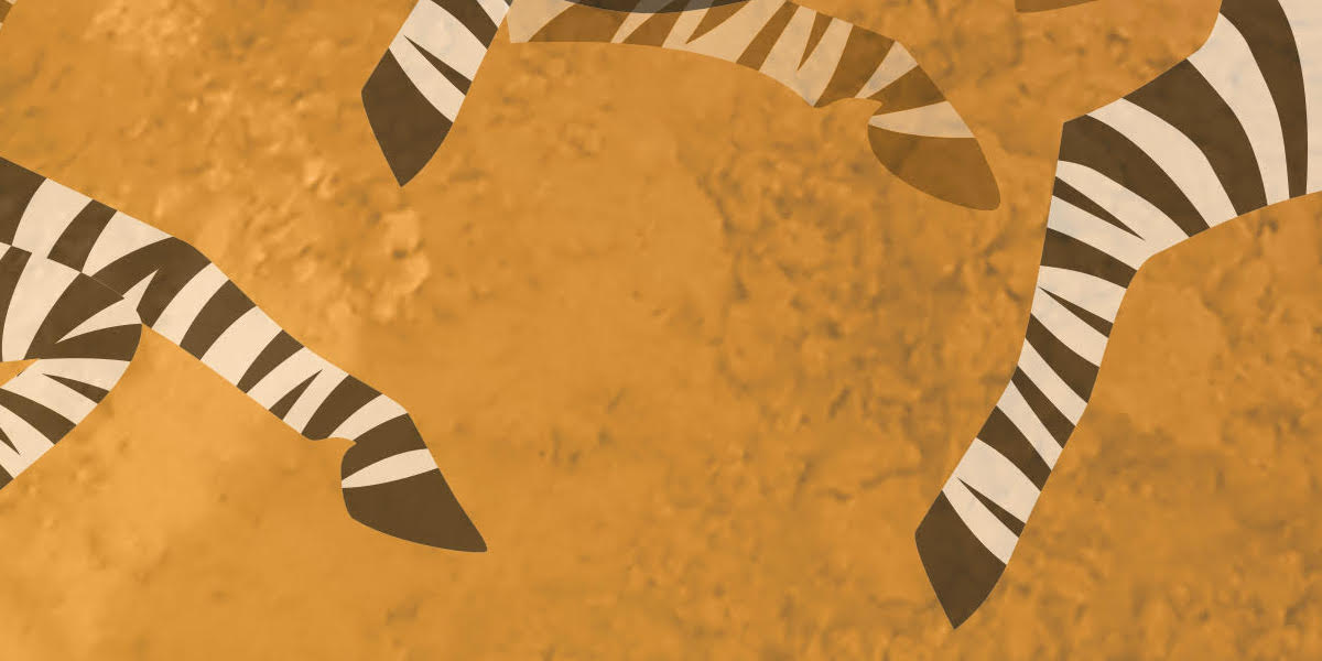 Zebra 2.jpeg