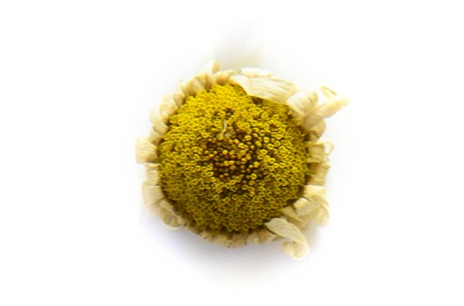 LabShul_Holiday_Web_AlterBits_6.jpg