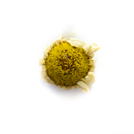 LabShul_Holiday_Web_AlterBits_6.png
