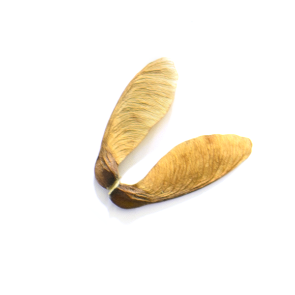 LabShul_Holiday_Web_AlterBits_8.png