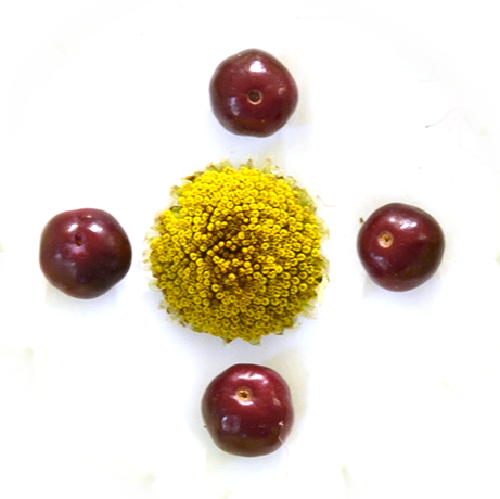 LabShul_Holiday_Web_AlterBits_3.png