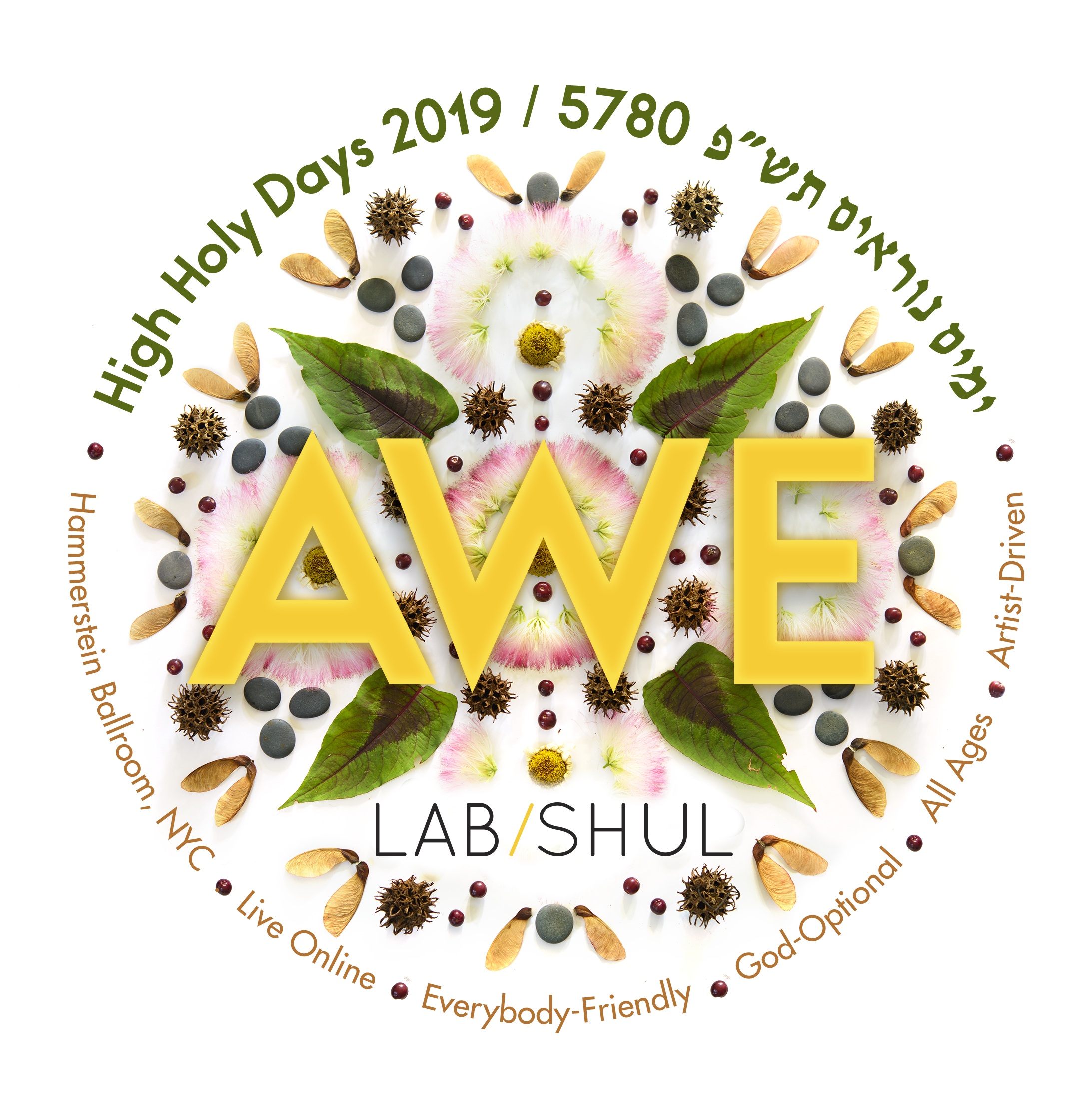 LabShul_Holiday_Final_300DPI-02.jpg
