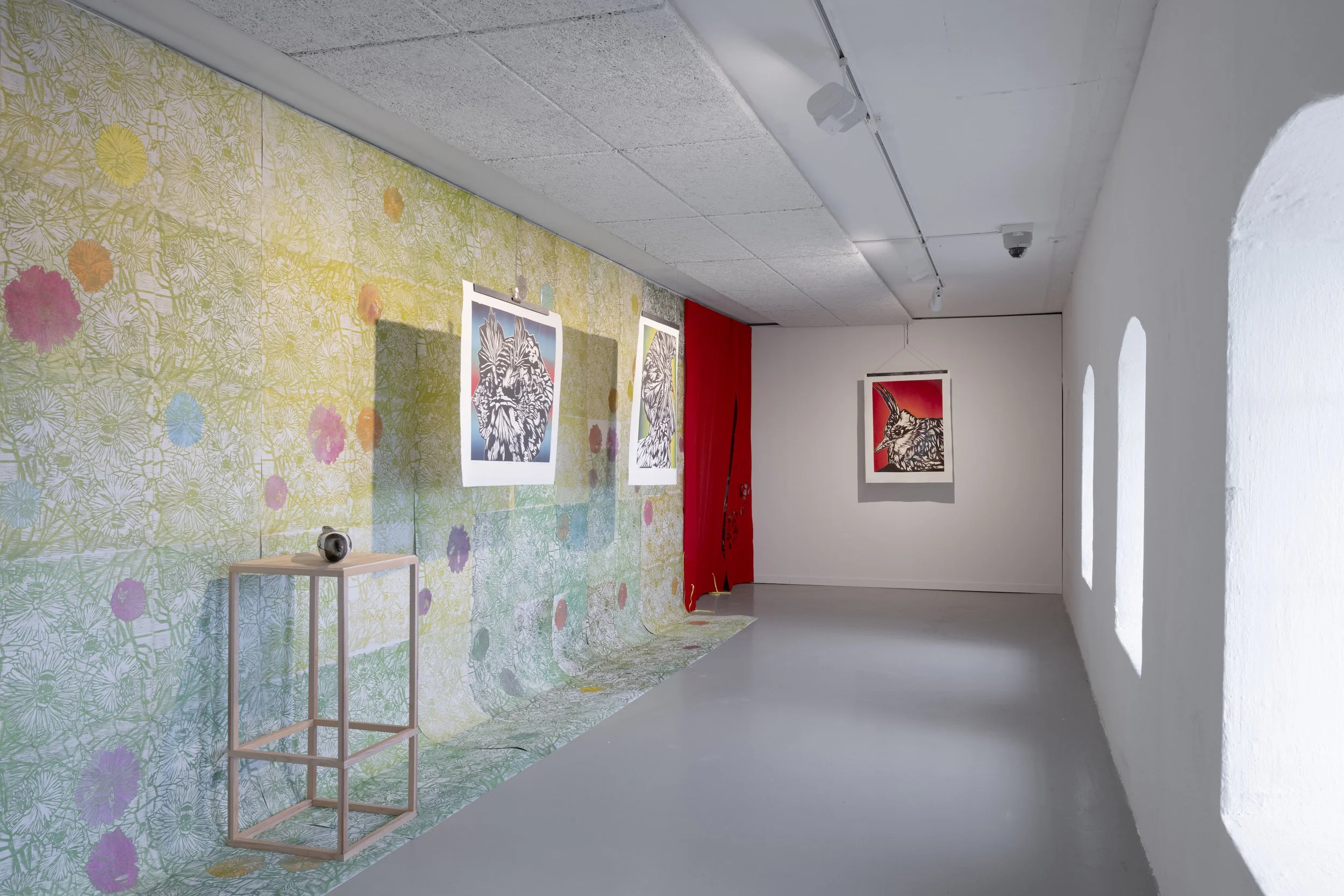 KAN Hå Prestegard 2024. (Lita) Foto OddbjørnErland Aarstad 13.jpeg