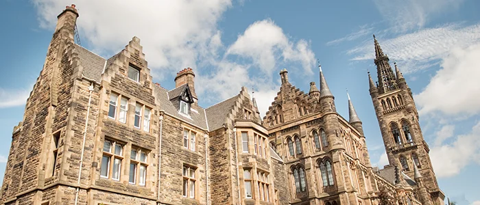 Four new staff appointed to the School of Law