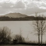 Abolishing the "not proven" verdict