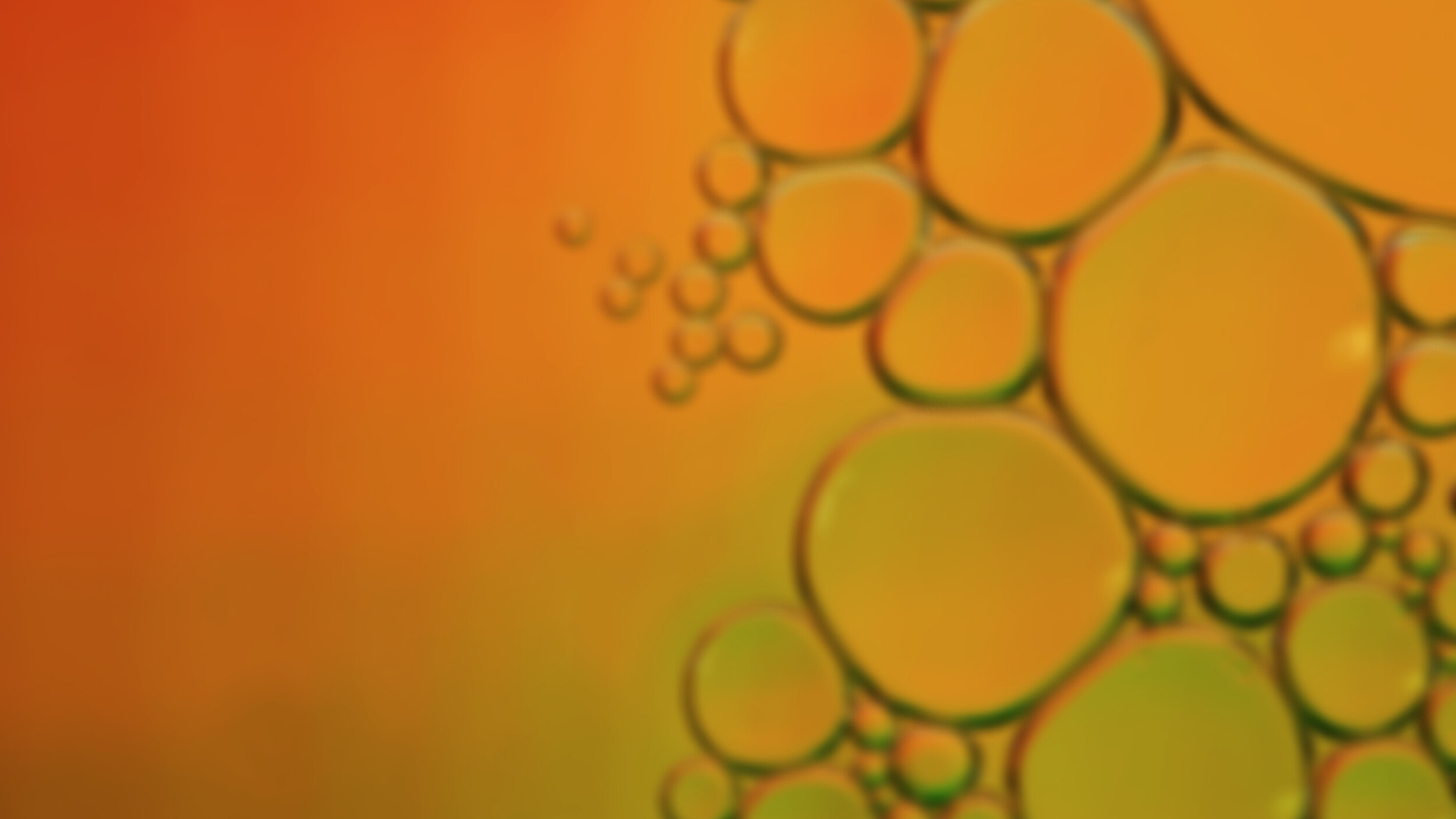 this is a test image