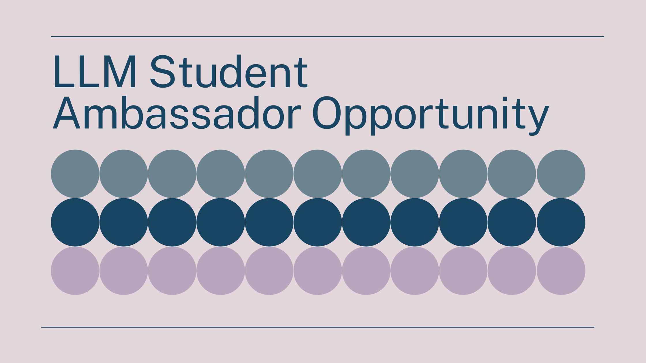 LLM Student Ambassador Opportunity