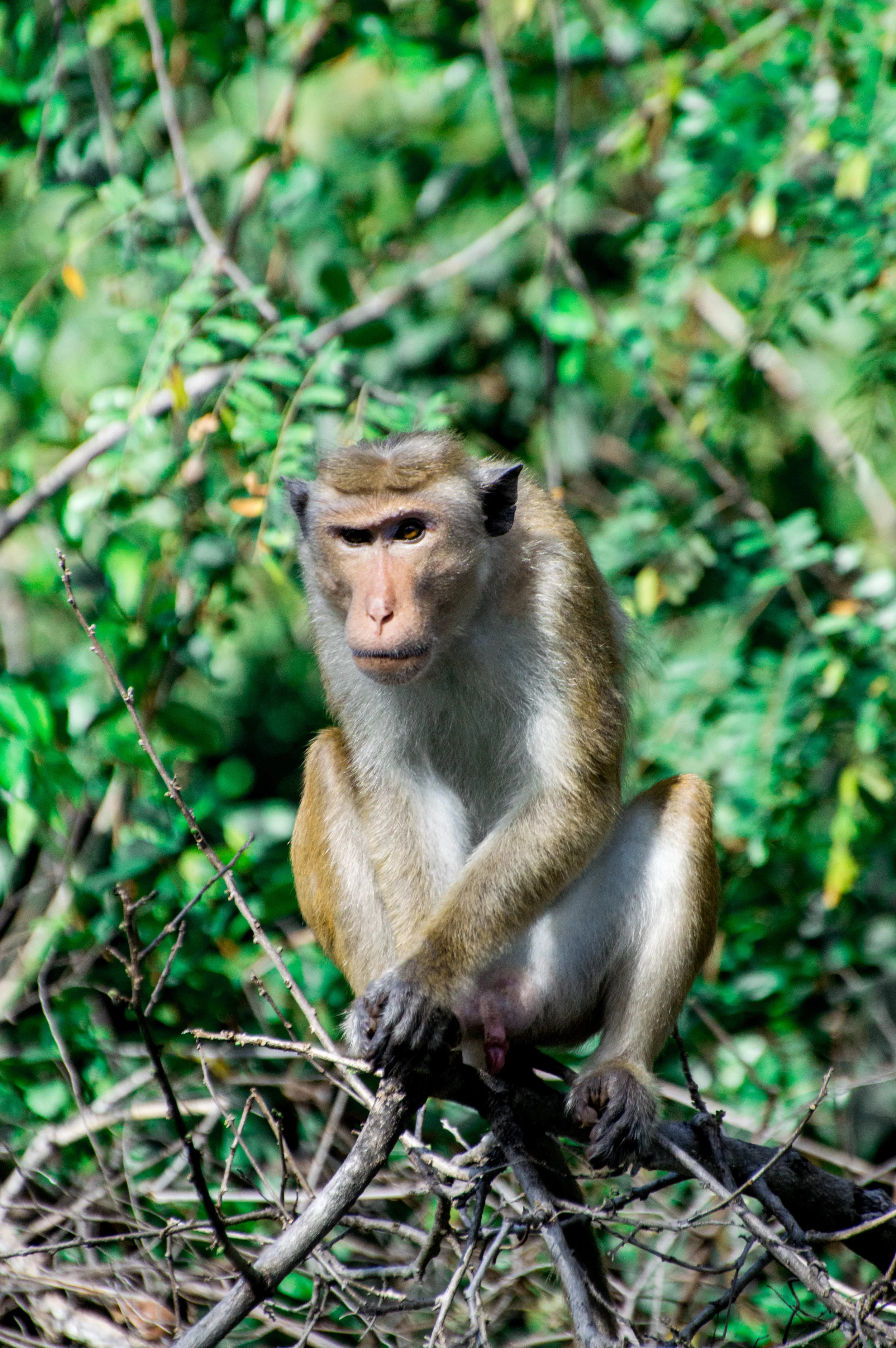 DSC_0411.jpg