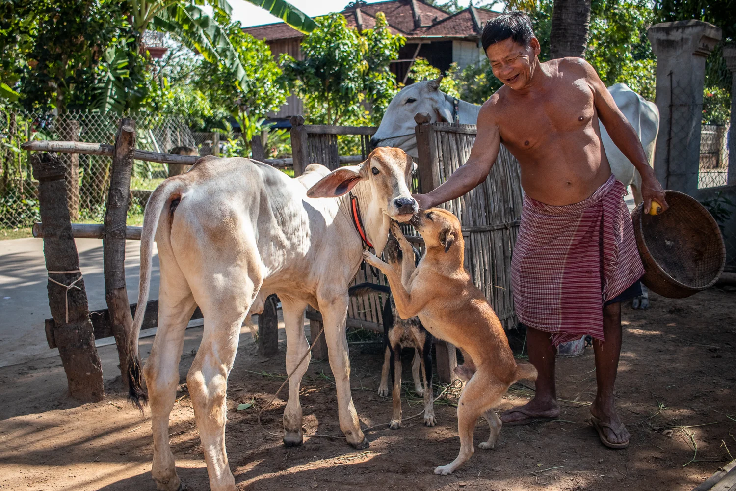 A typical Cambodian village we will encounter during a photography workshop.