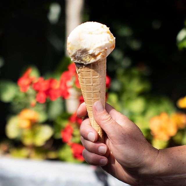 The sun is still shining over @therailwayinnportslade so be sure to pop down and see what we have on offer is our display case before Autumn is well and truly here. &bull;
&bull;
&bull;
&bull;
&bull;
#food #gelato #icecream #summer #sun #yum #foodies
