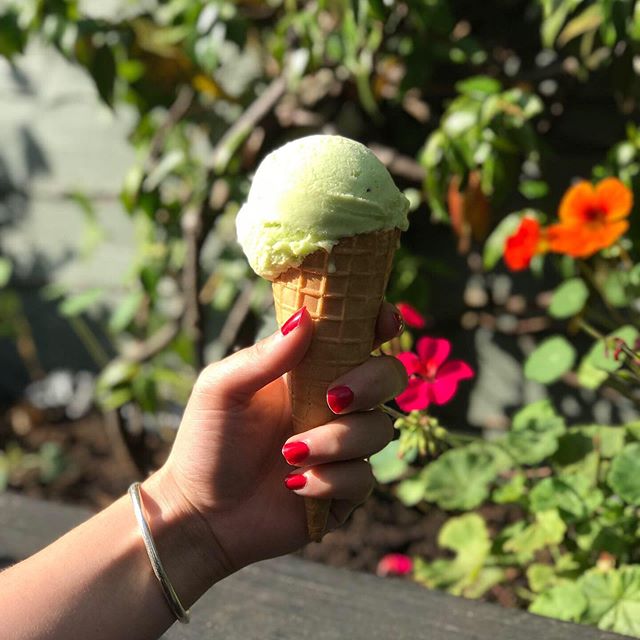 Today at @therailwayinnportslade you can get two free scoops of gelato with any main meal. Here is our #vegan Kiwi Sorbet. &bull;
&bull;
&bull;
&bull;
&bull;
#food #gelato #icecream #summer #sun #yum #foodies #yummy #hovegelato #foodphotography